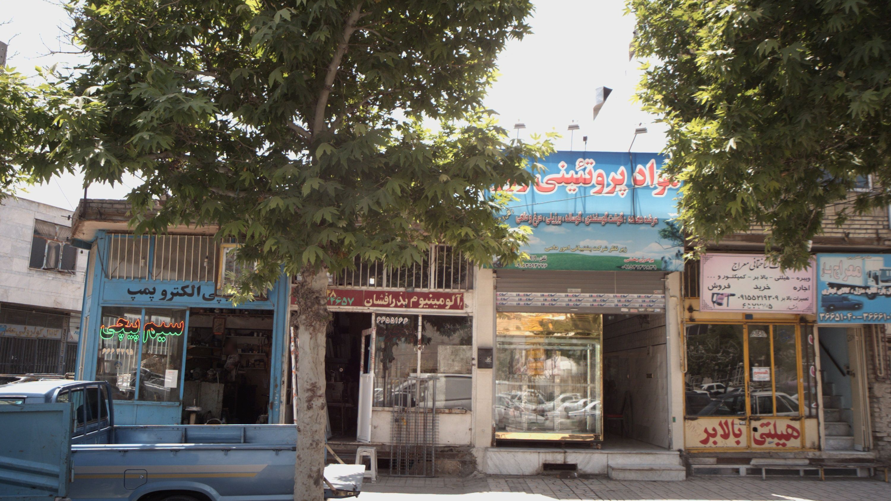 مواد پروتئینی روز