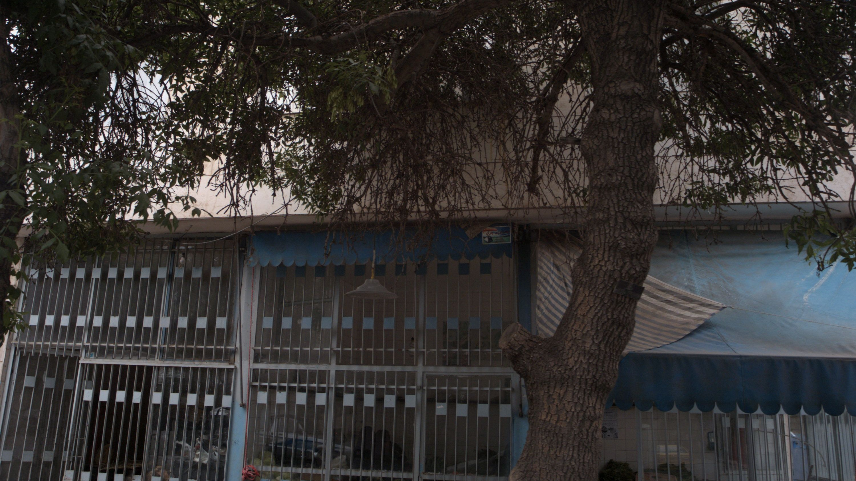 میوه فروشی