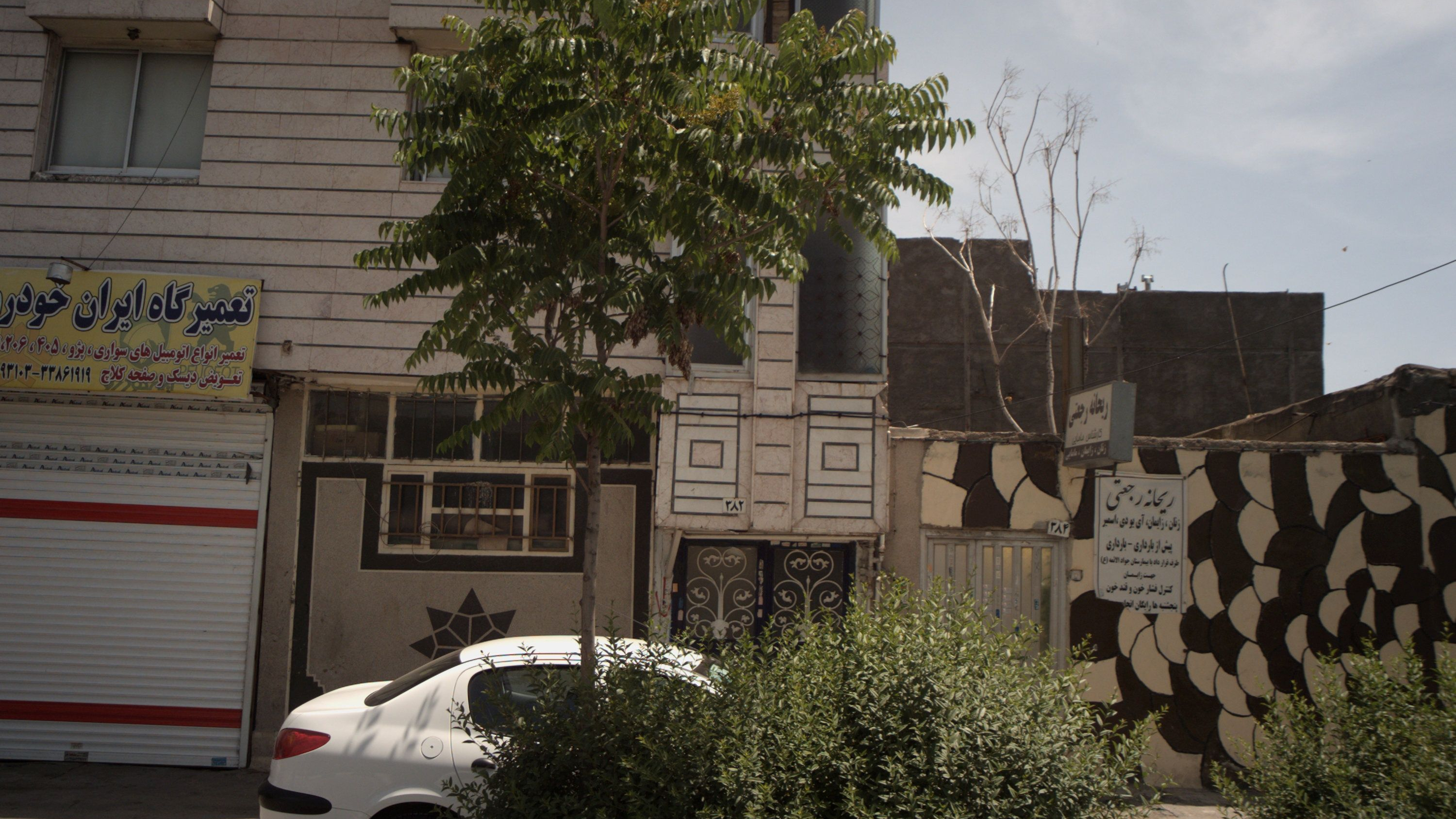 مطب ریحانه رجعتی