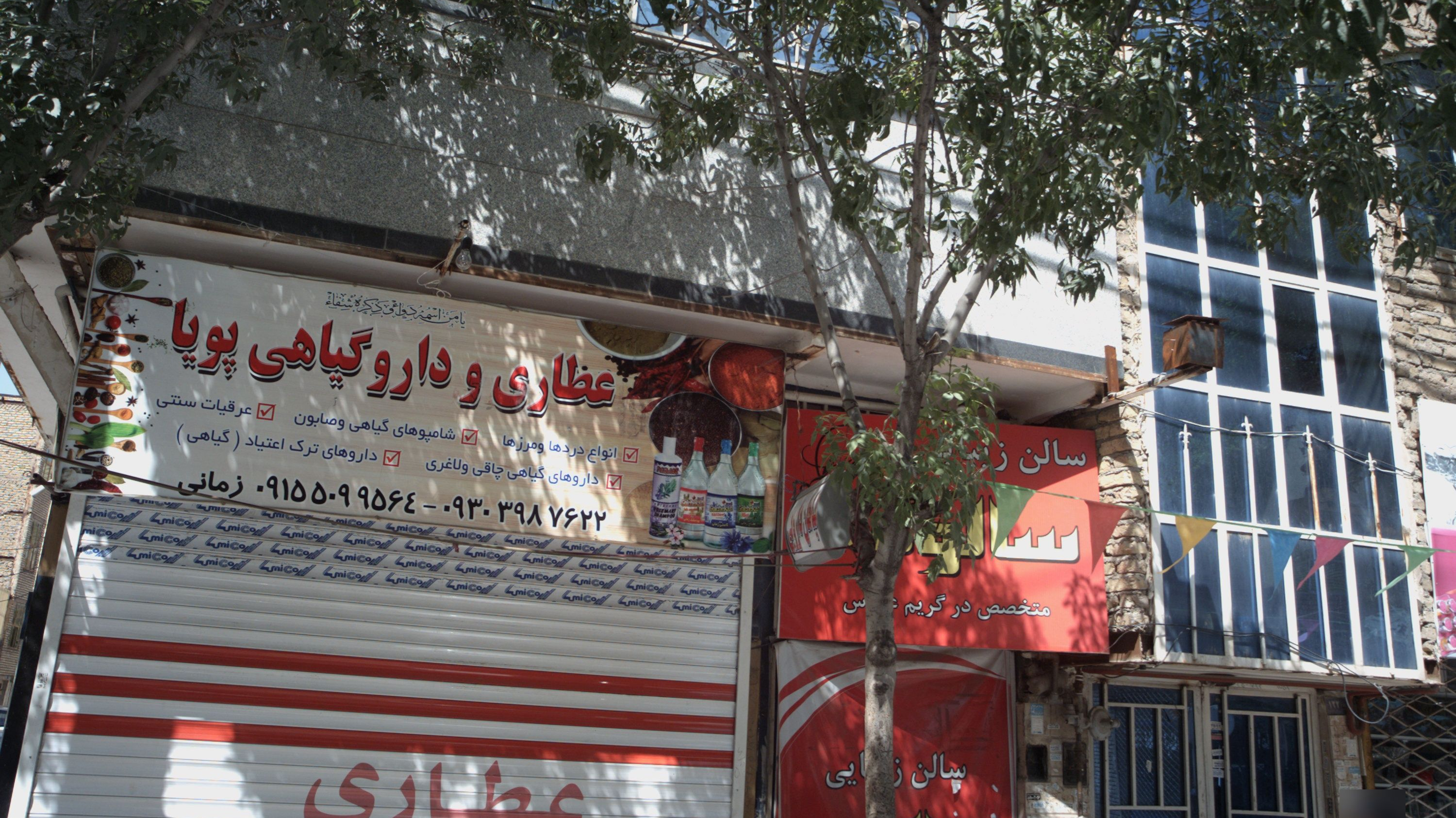 عطاری و دارو گیاهی پویا