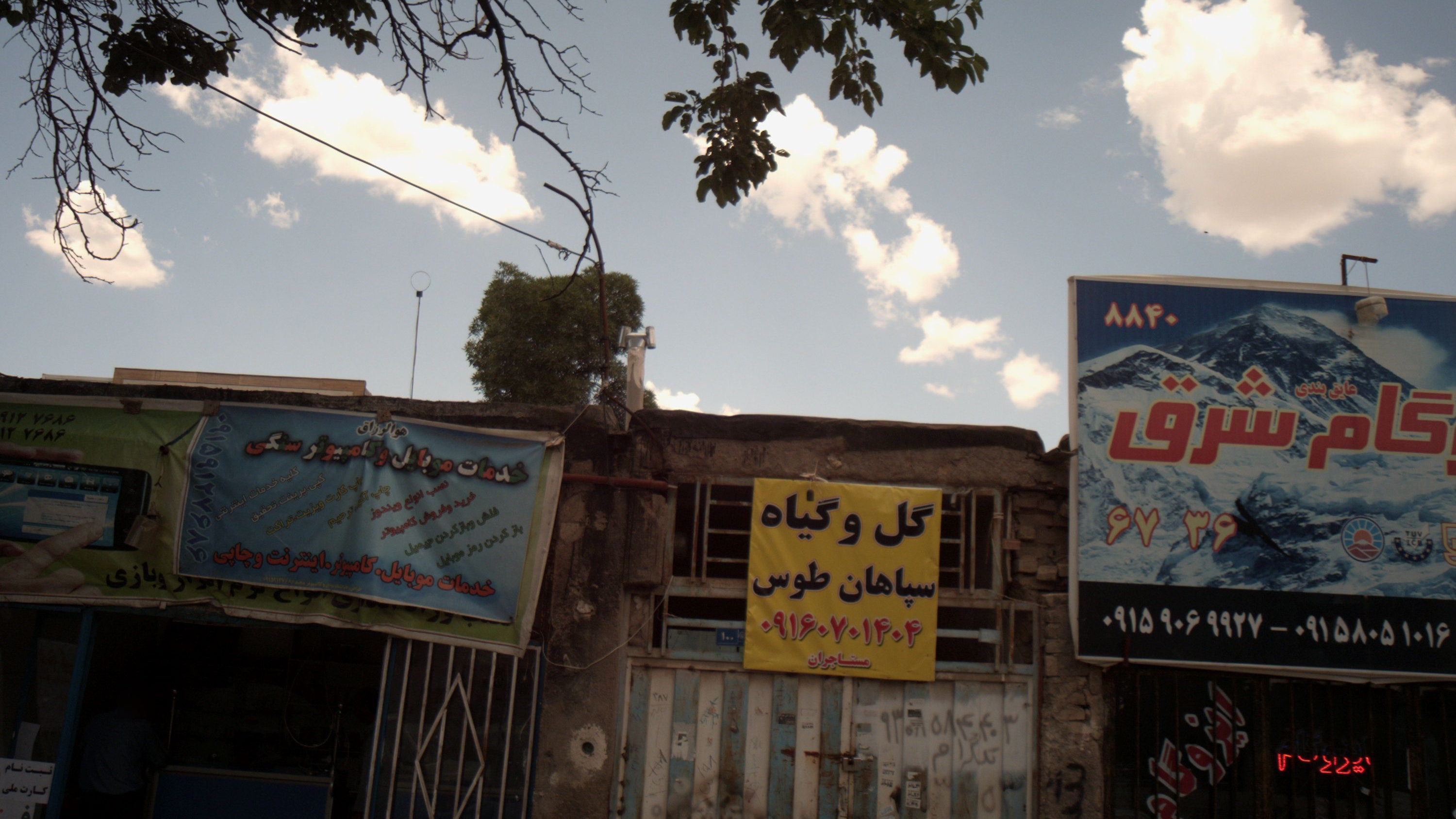 گل و گیاه سپاهان طوس