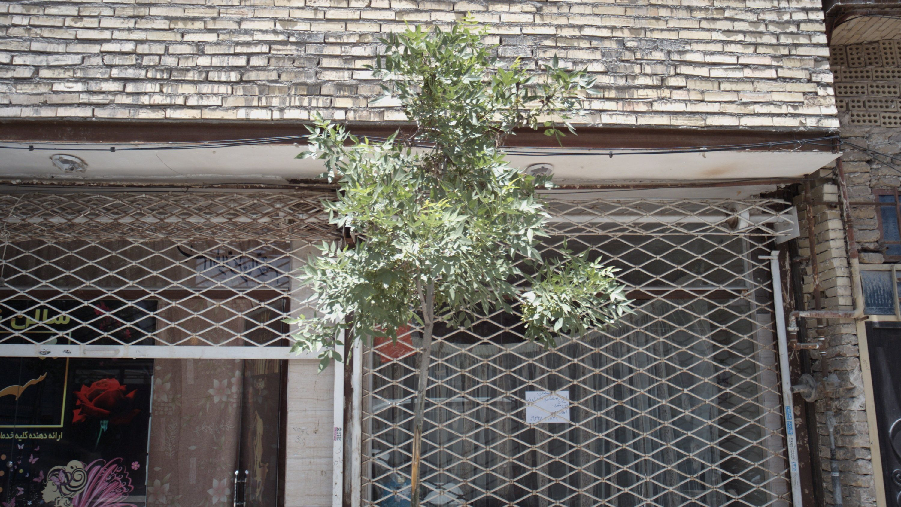 فروشگاه پوشاک