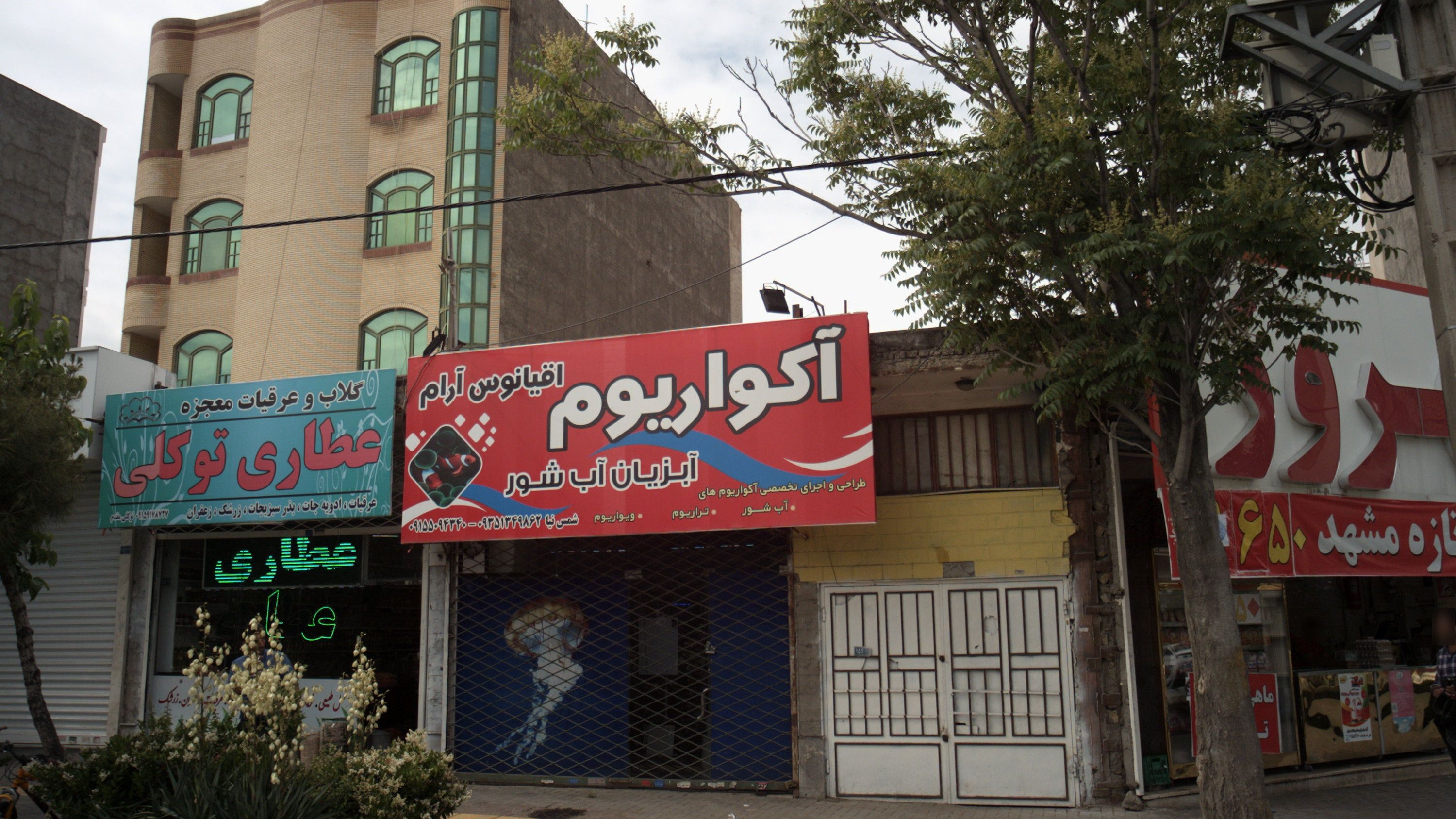 آکواریوم اقیانوس آرام