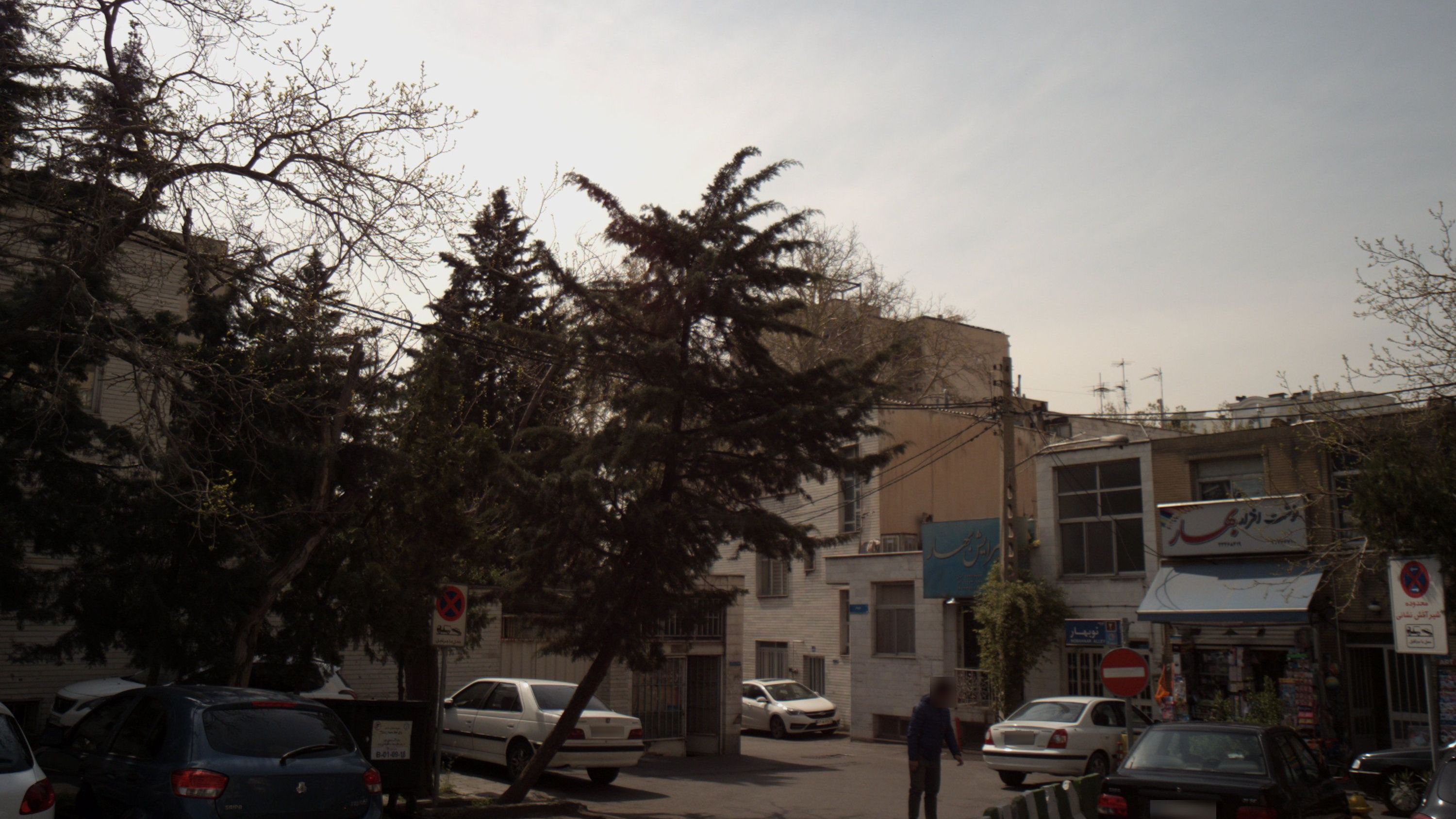 پیرایش بهار