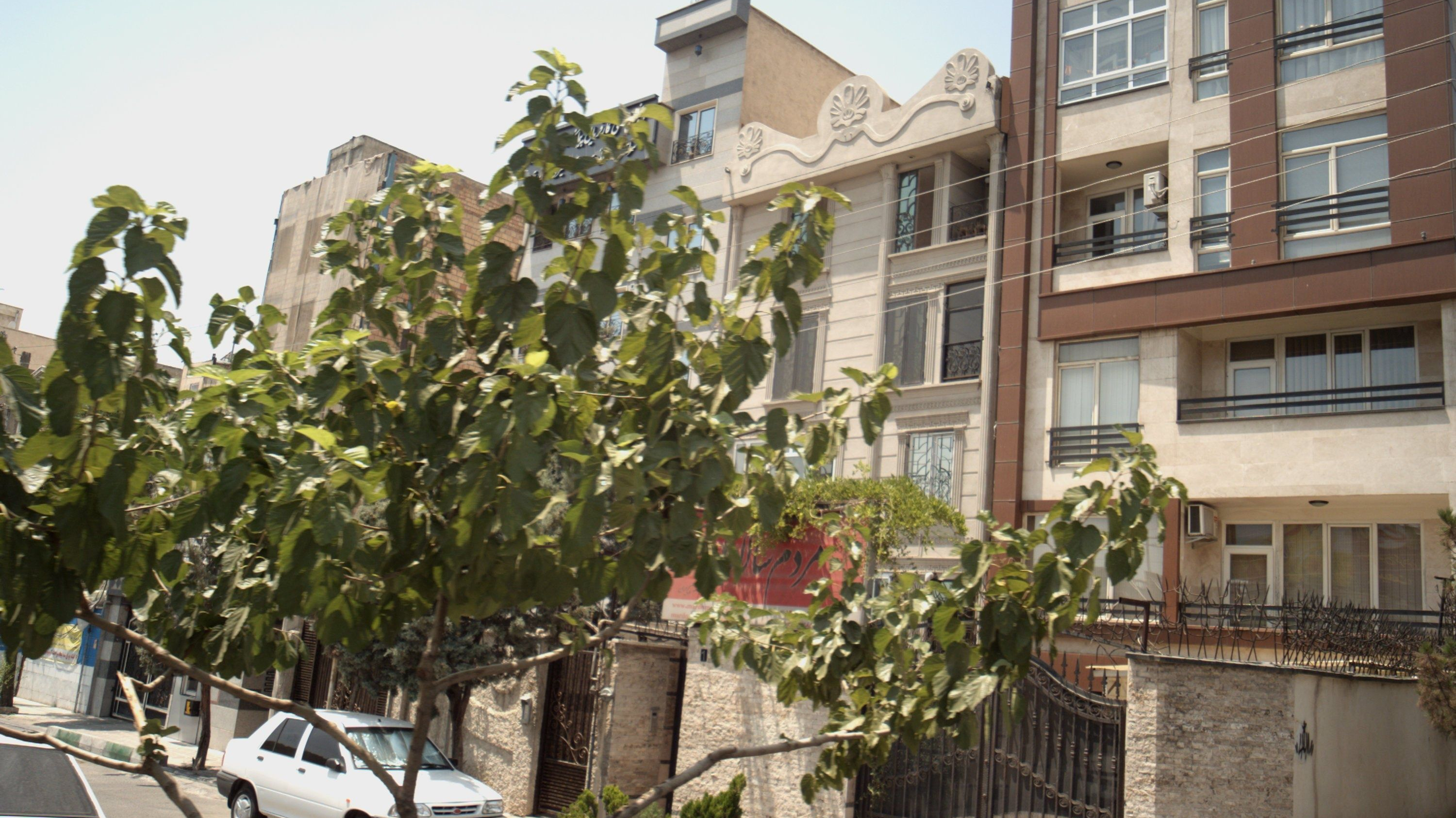 روزنامه صبح ایران