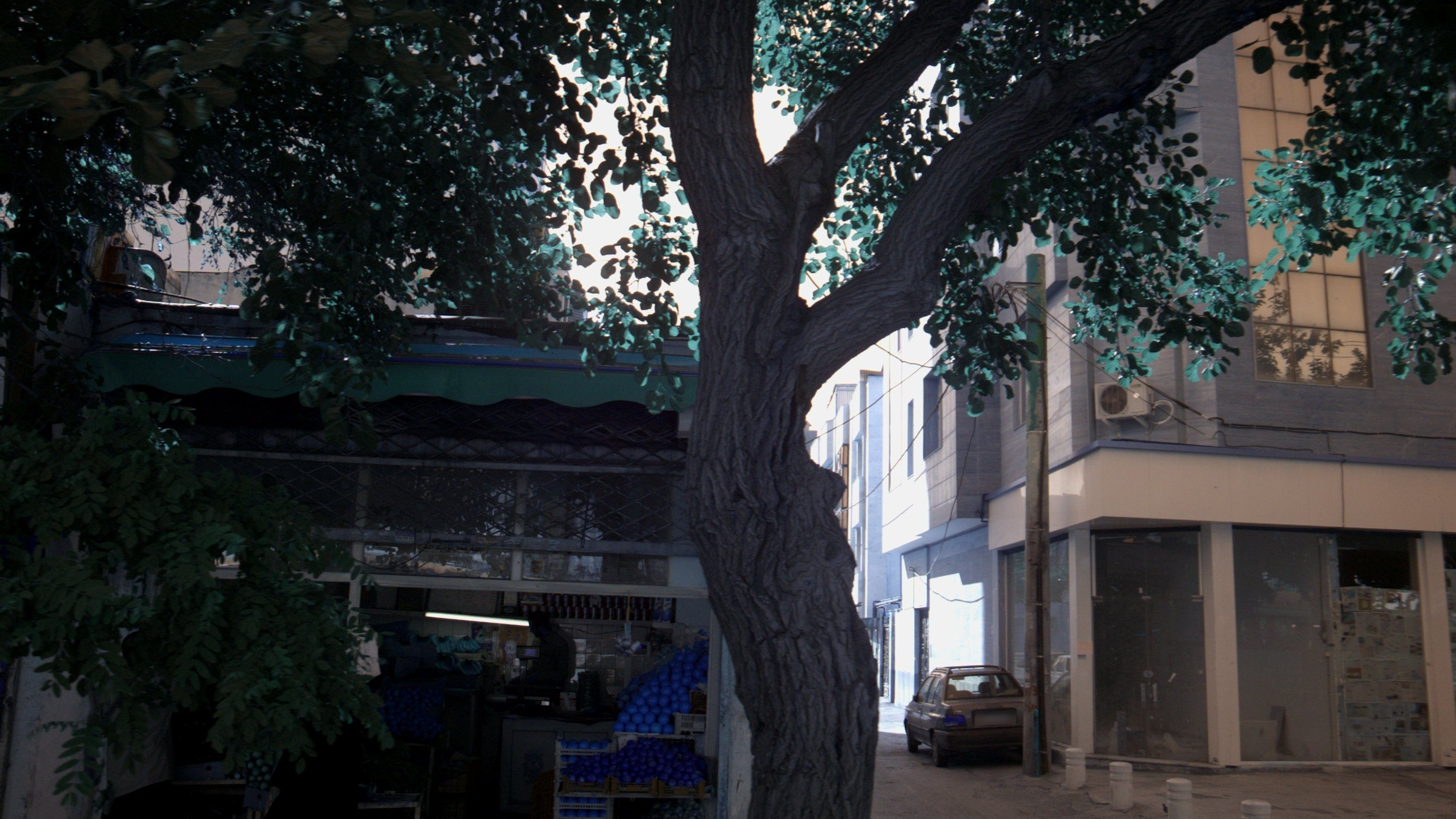 میوه فروشی