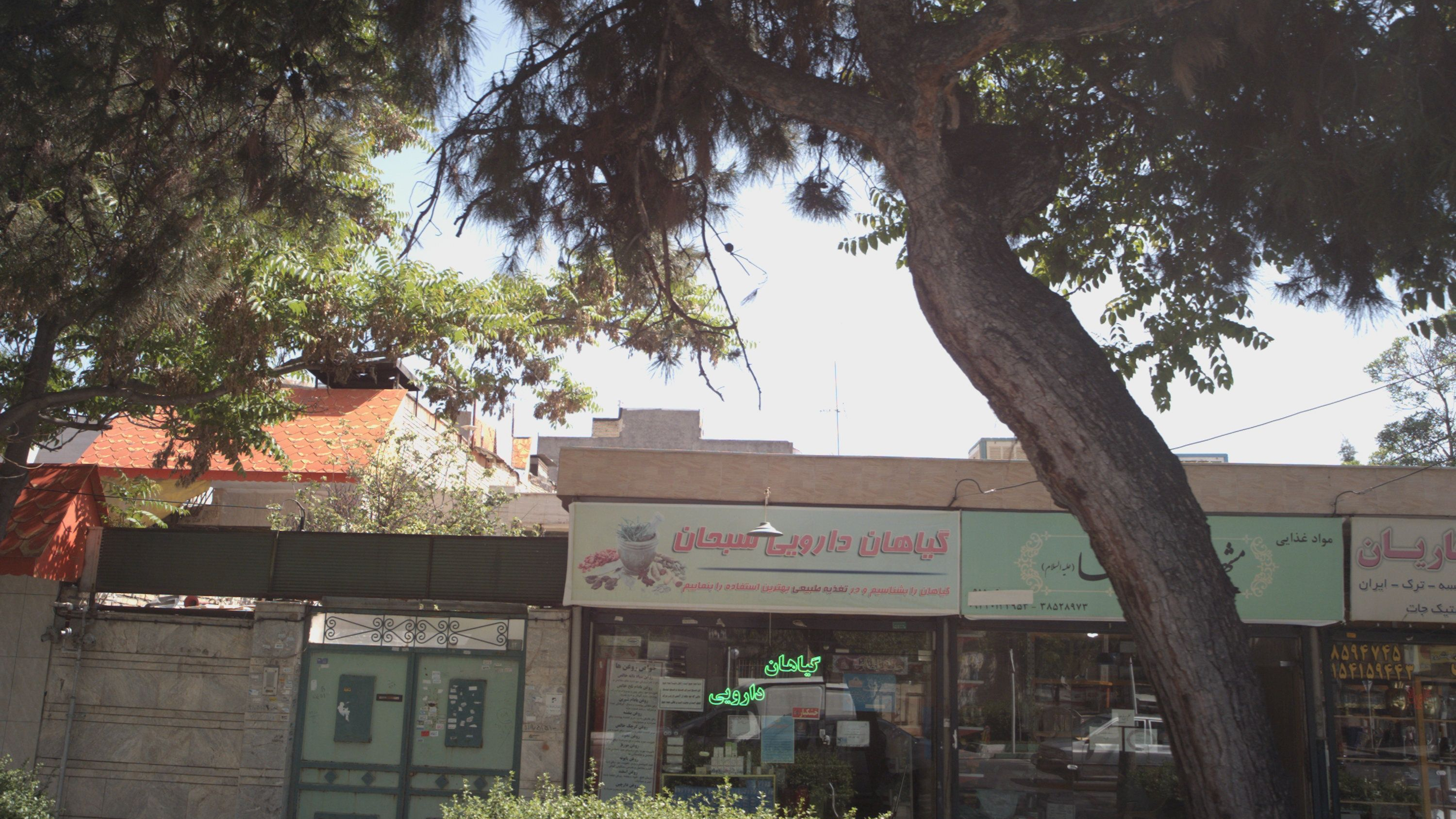گیاهان دارویی سبحان