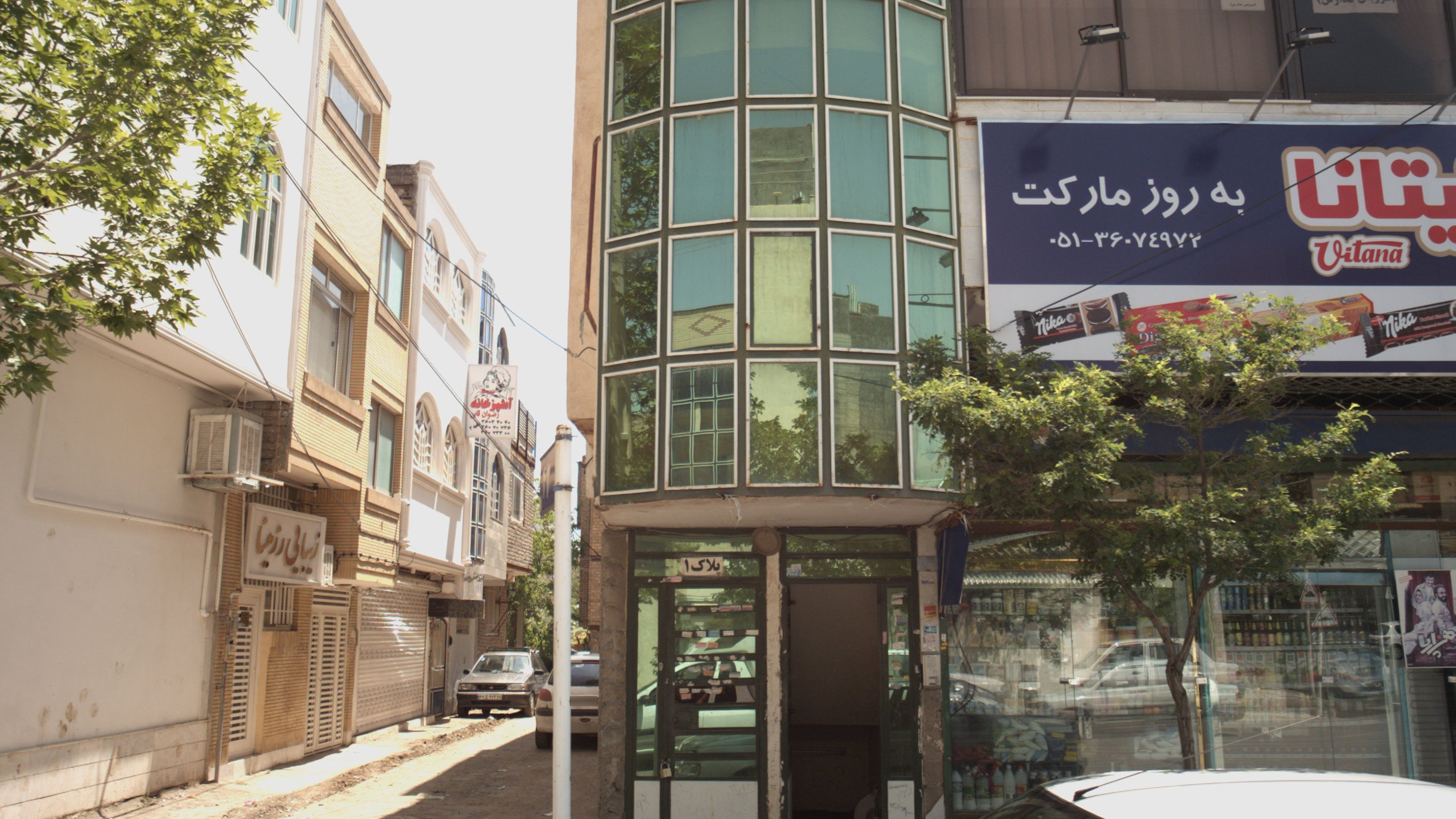 زیبایی رز مینا