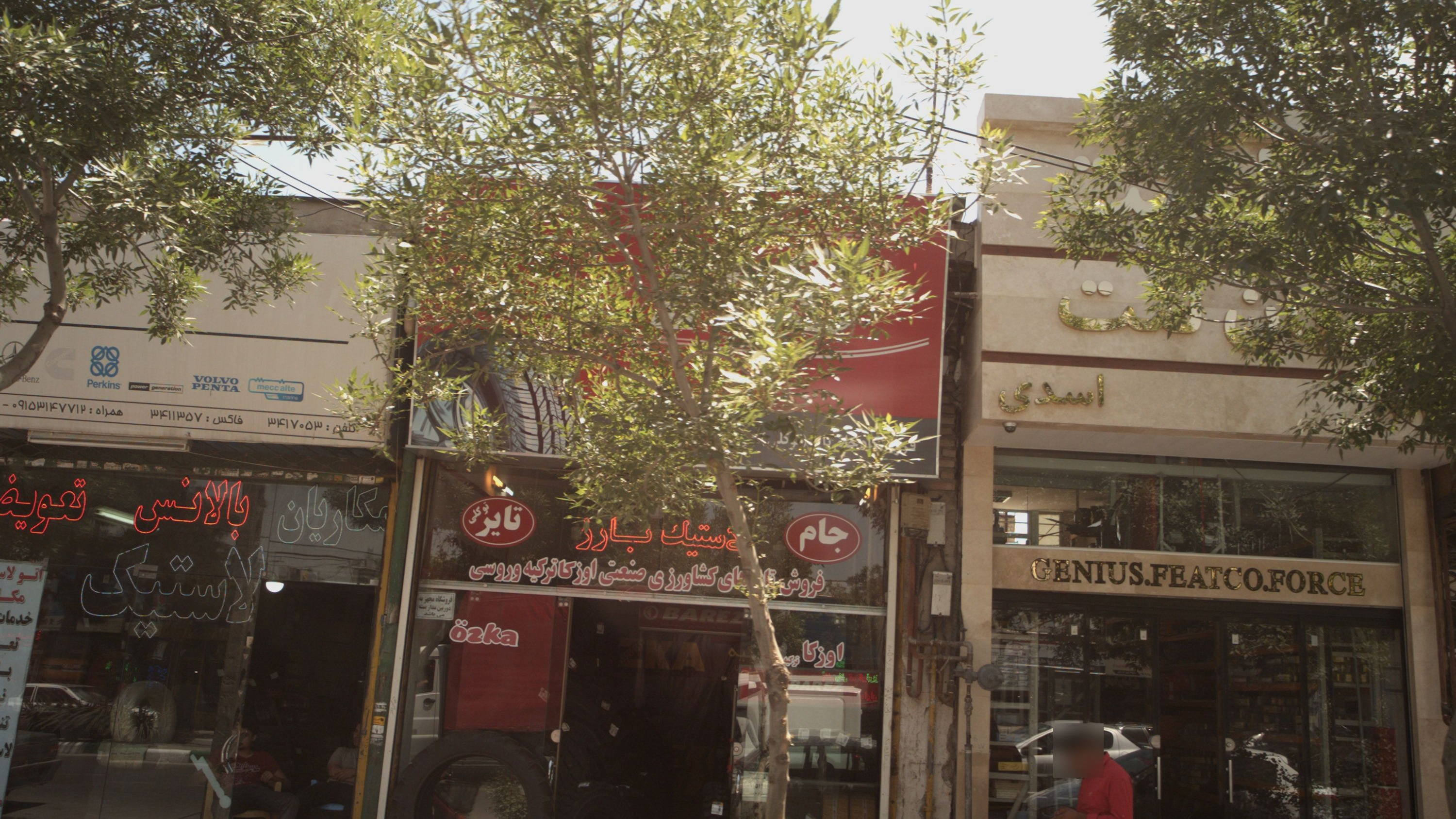 لنتکده میرزایی اسدی