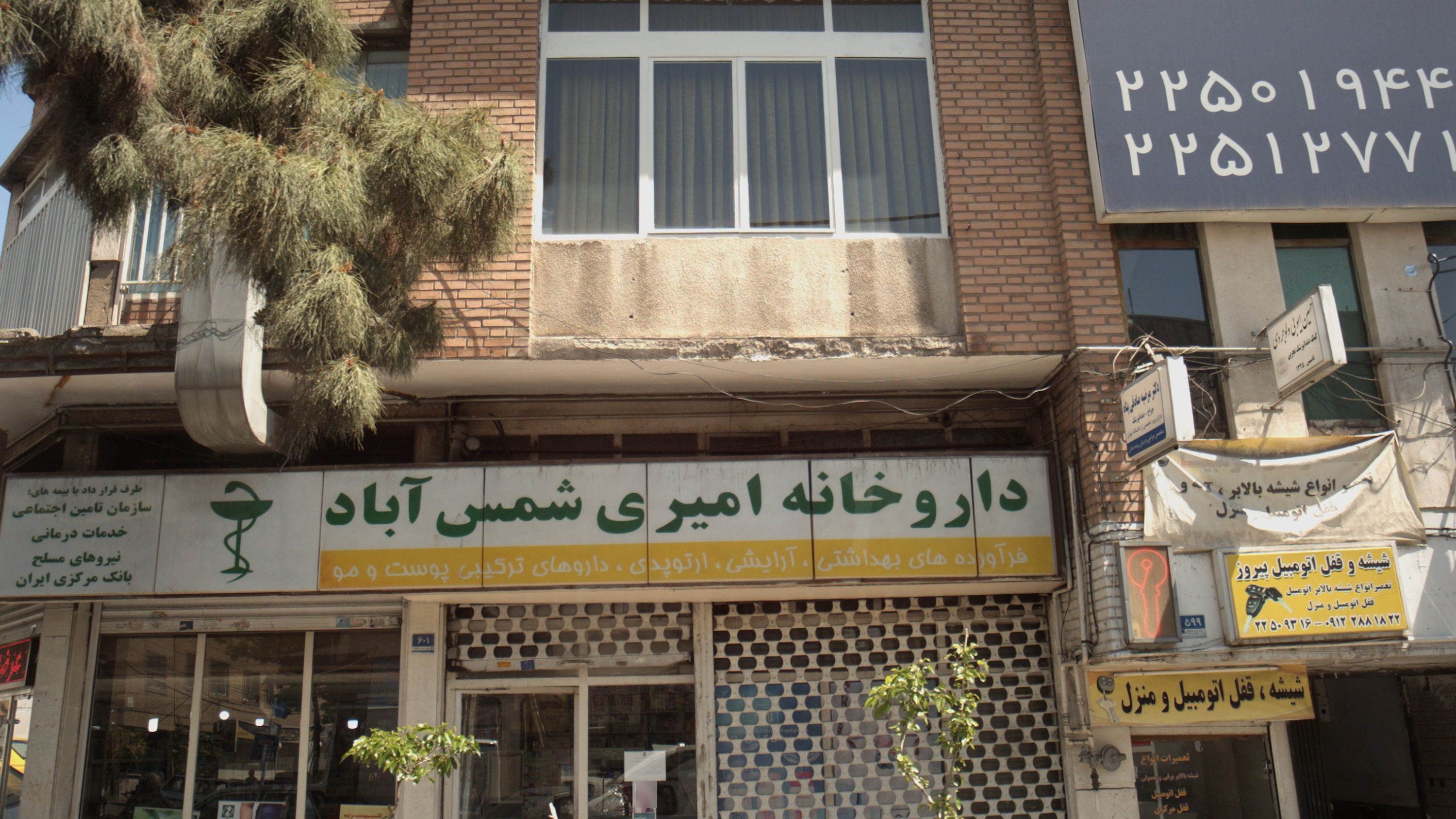 کمک دندانپزشک تجربی حسین ایوبی ولوجردی