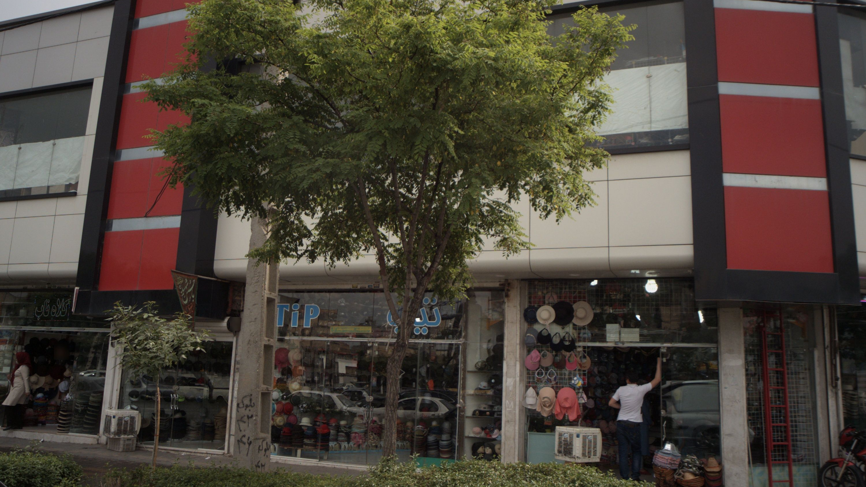 تولیدی و پخش کلاه