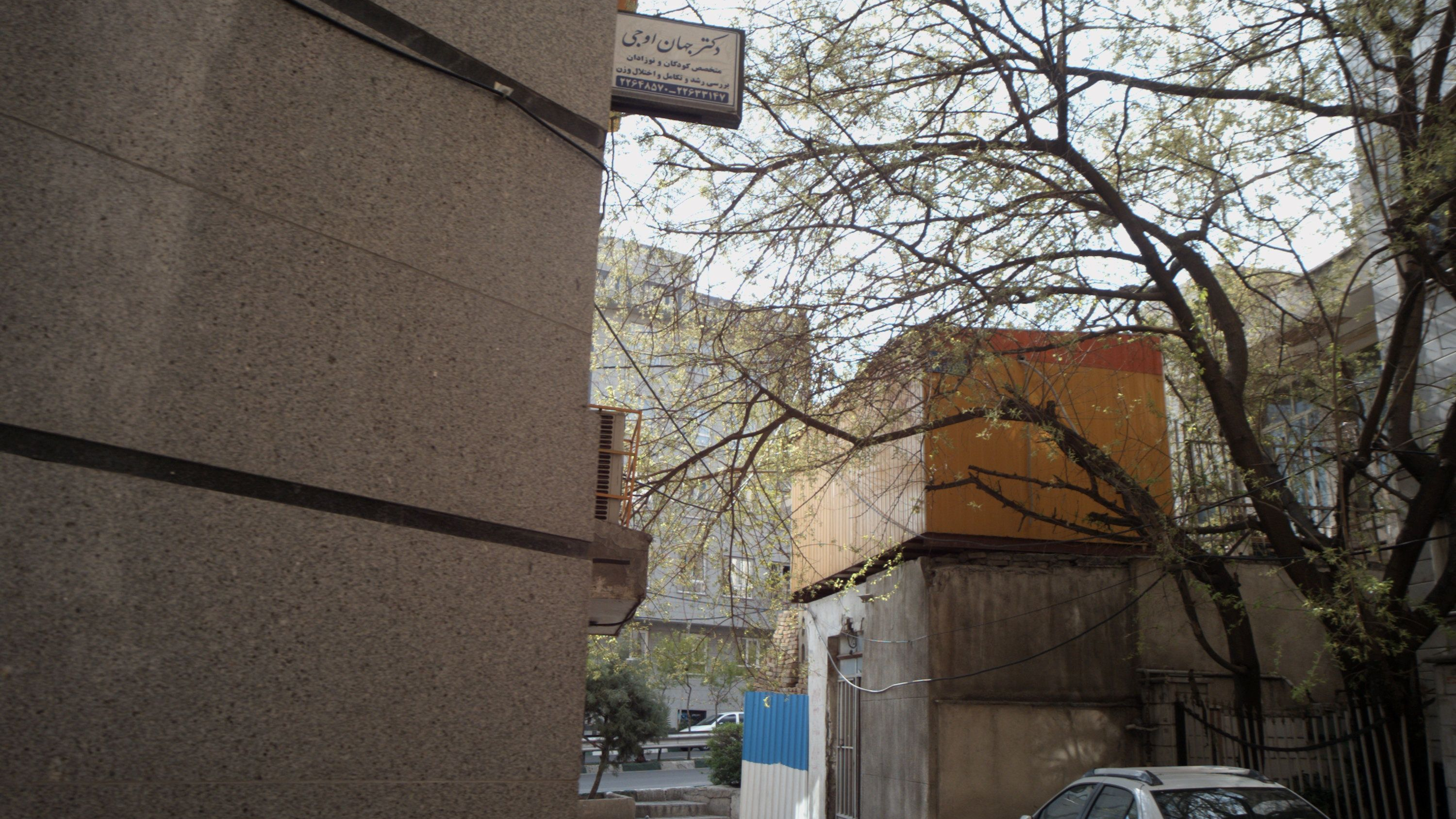 دکتر جهان اوجی