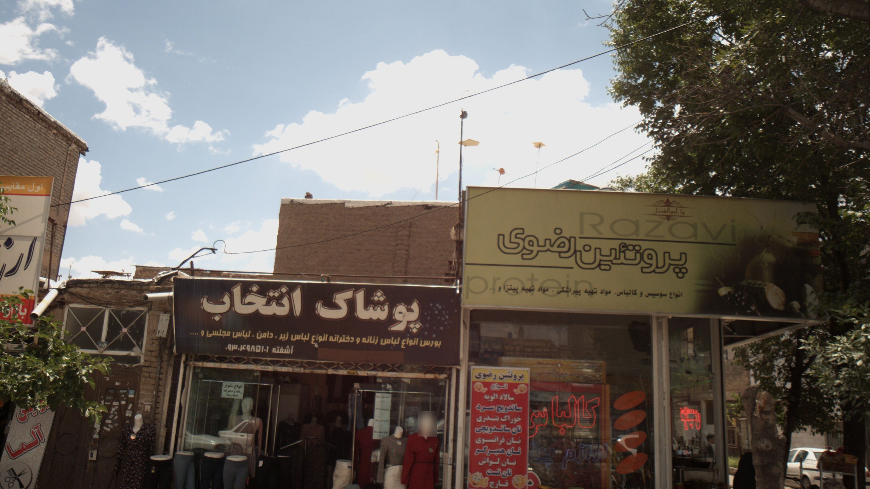 پروتئین رضوی