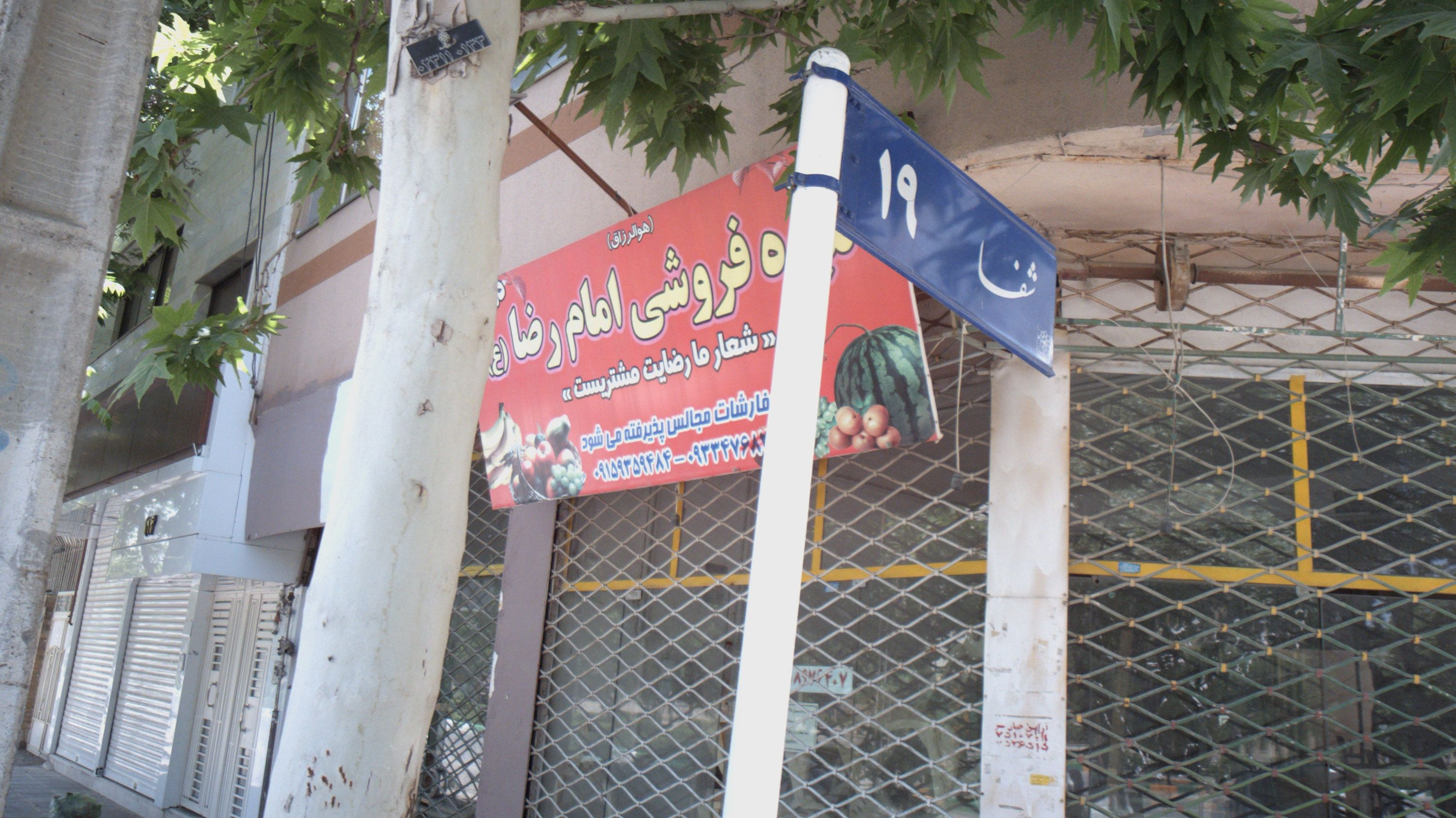 میوه فروشی امام رضا