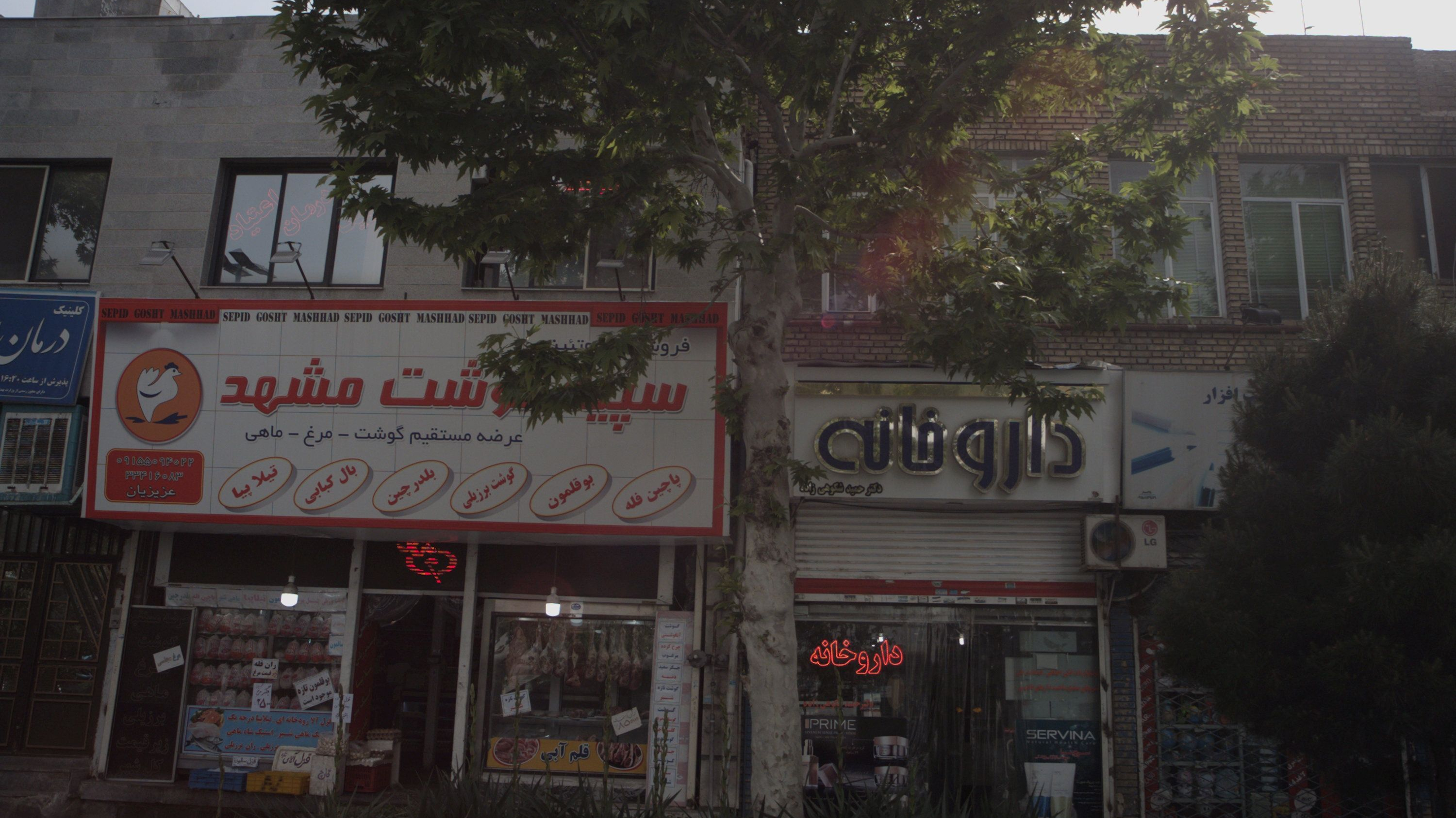 سپید گوشت مشهد