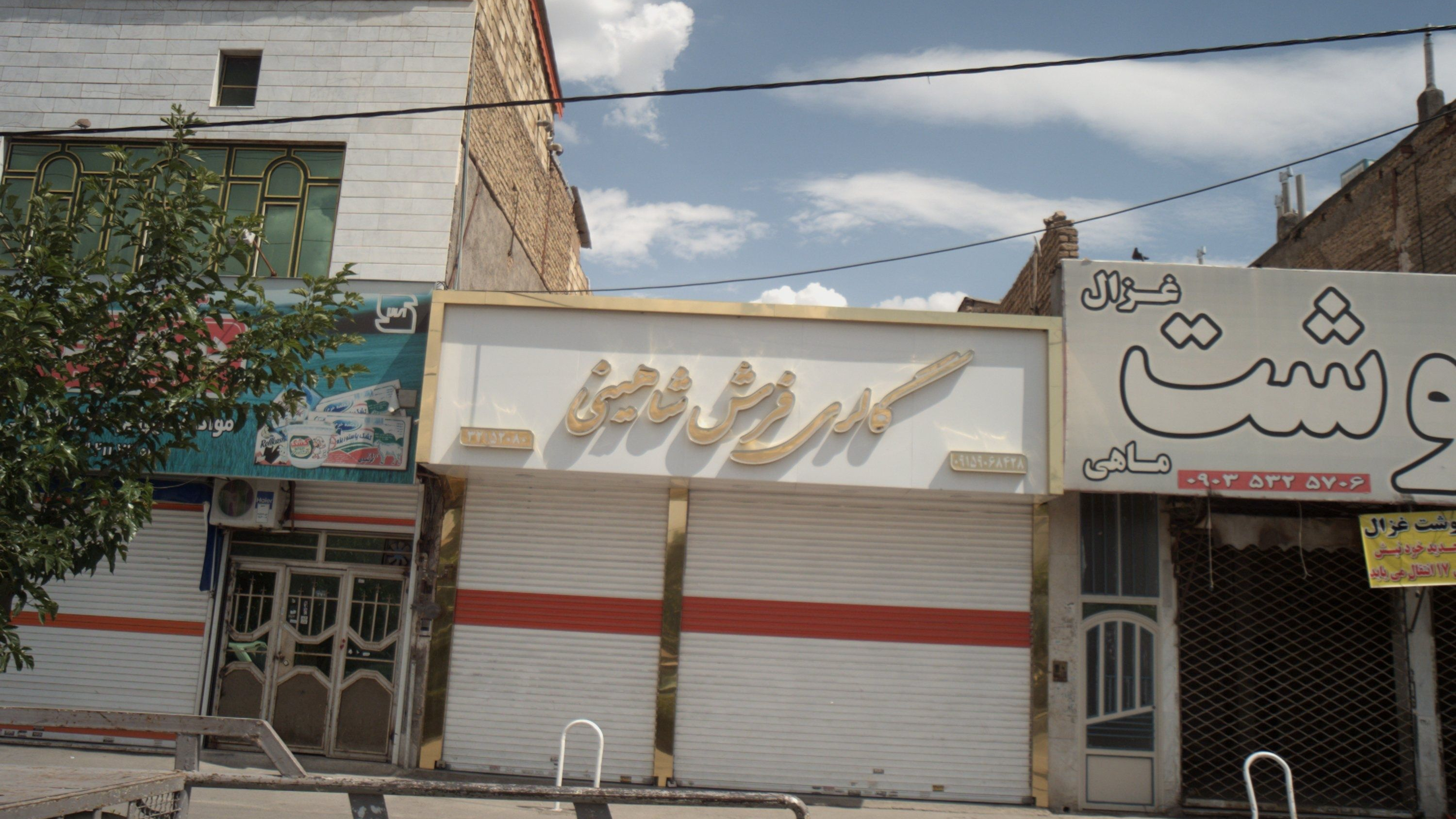 گالری فرش شاهینی