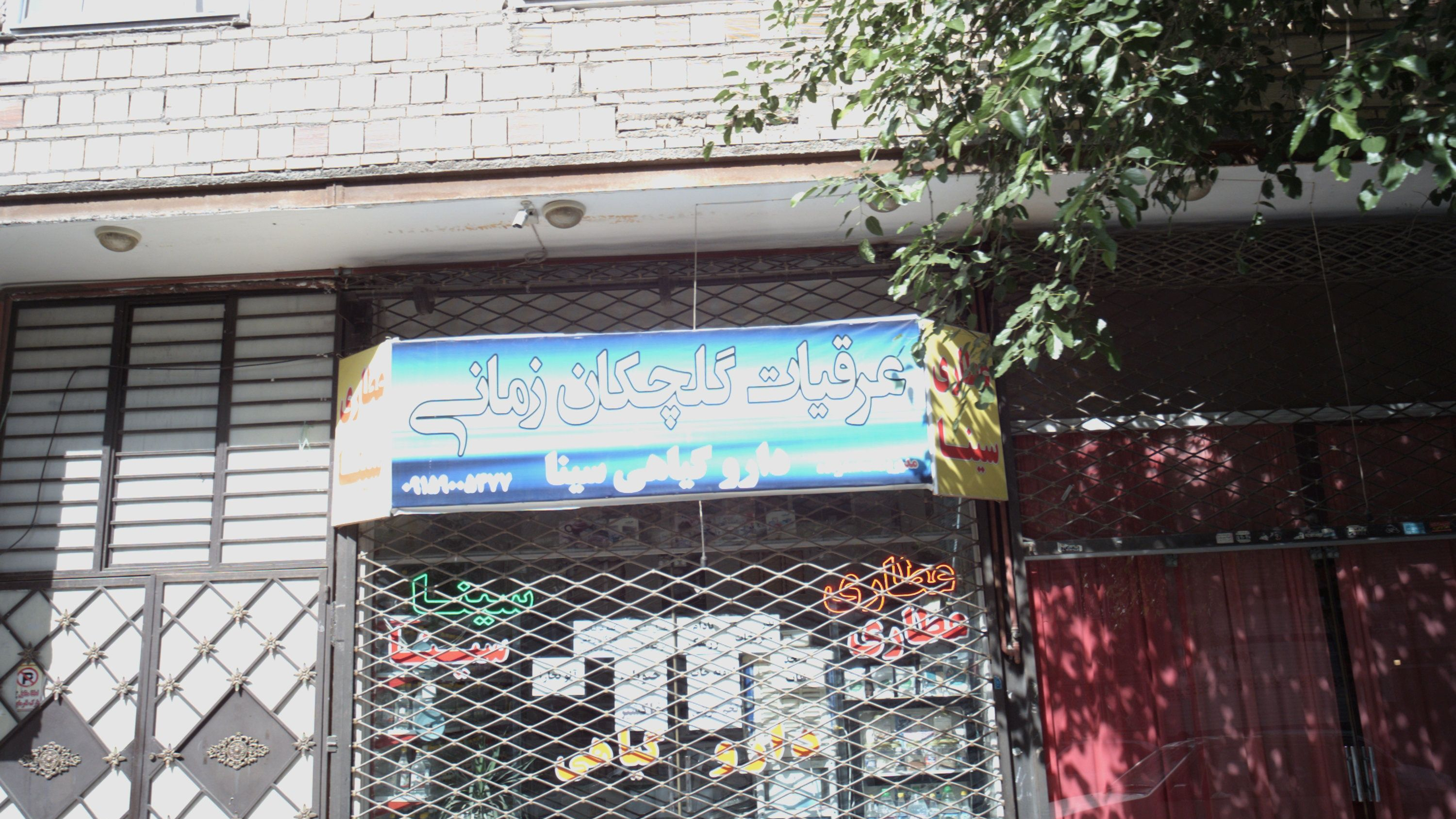 دارو گیاهی سینا