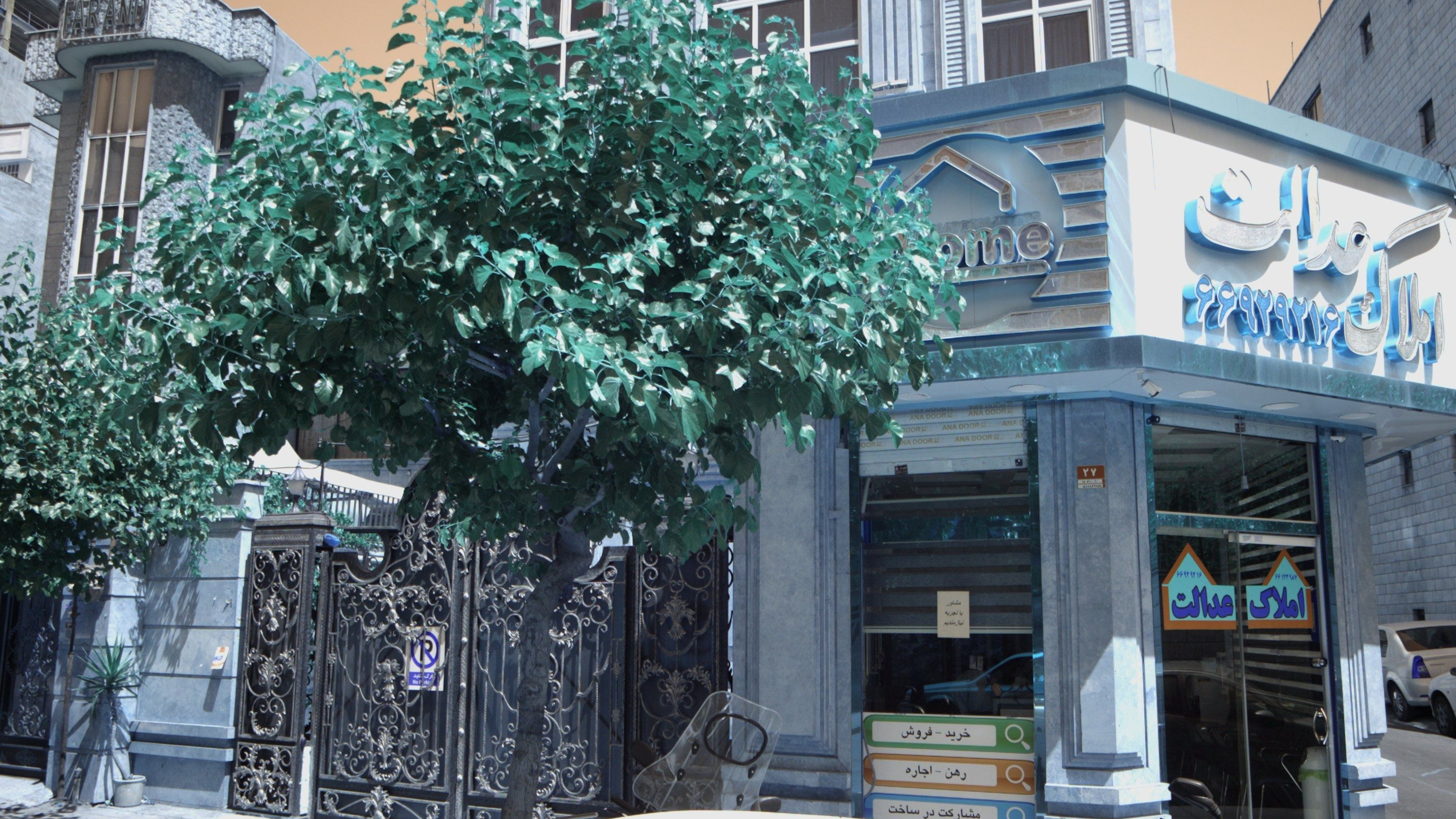 املاک عدالت