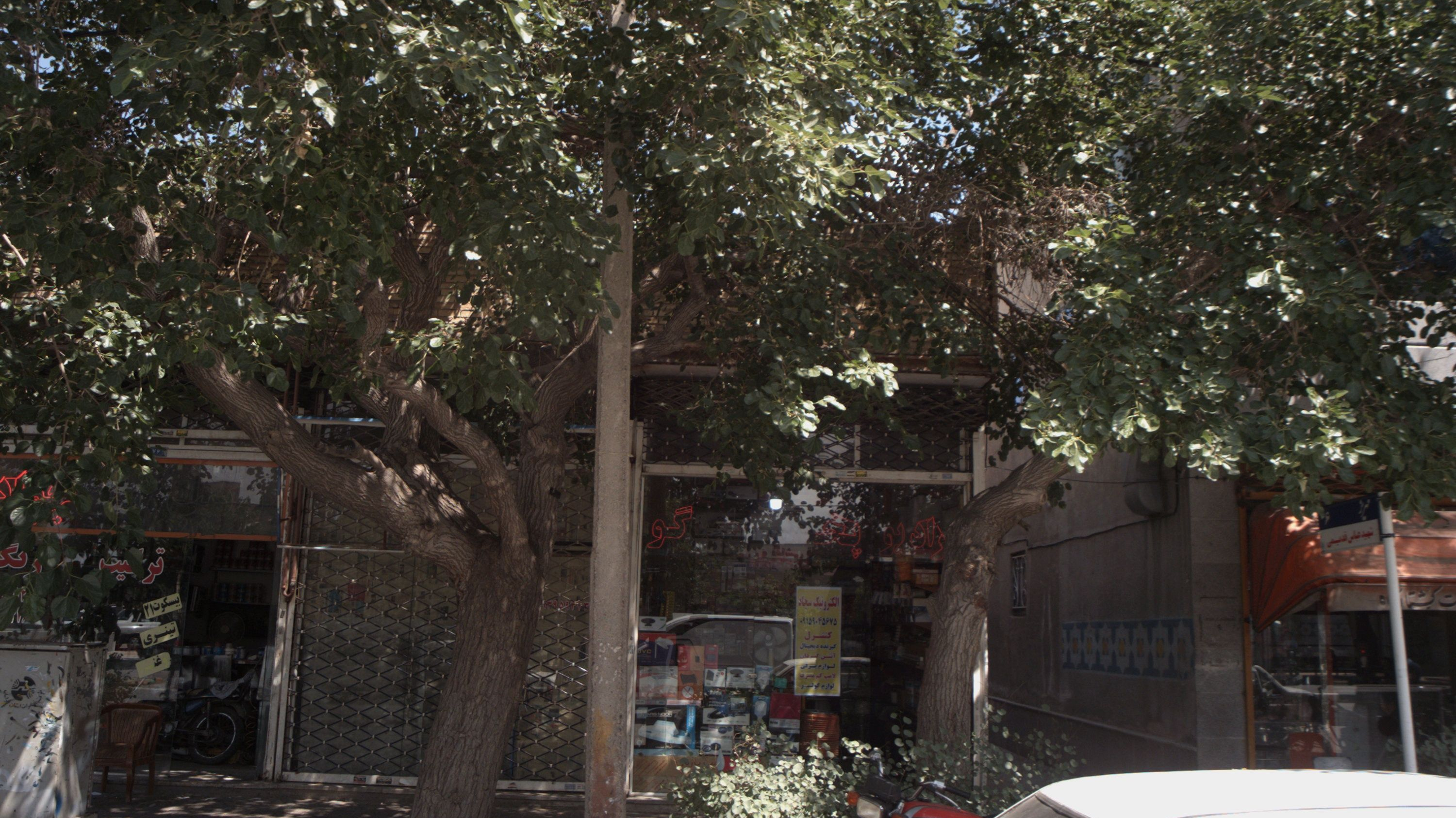 الکترونیک سجاد