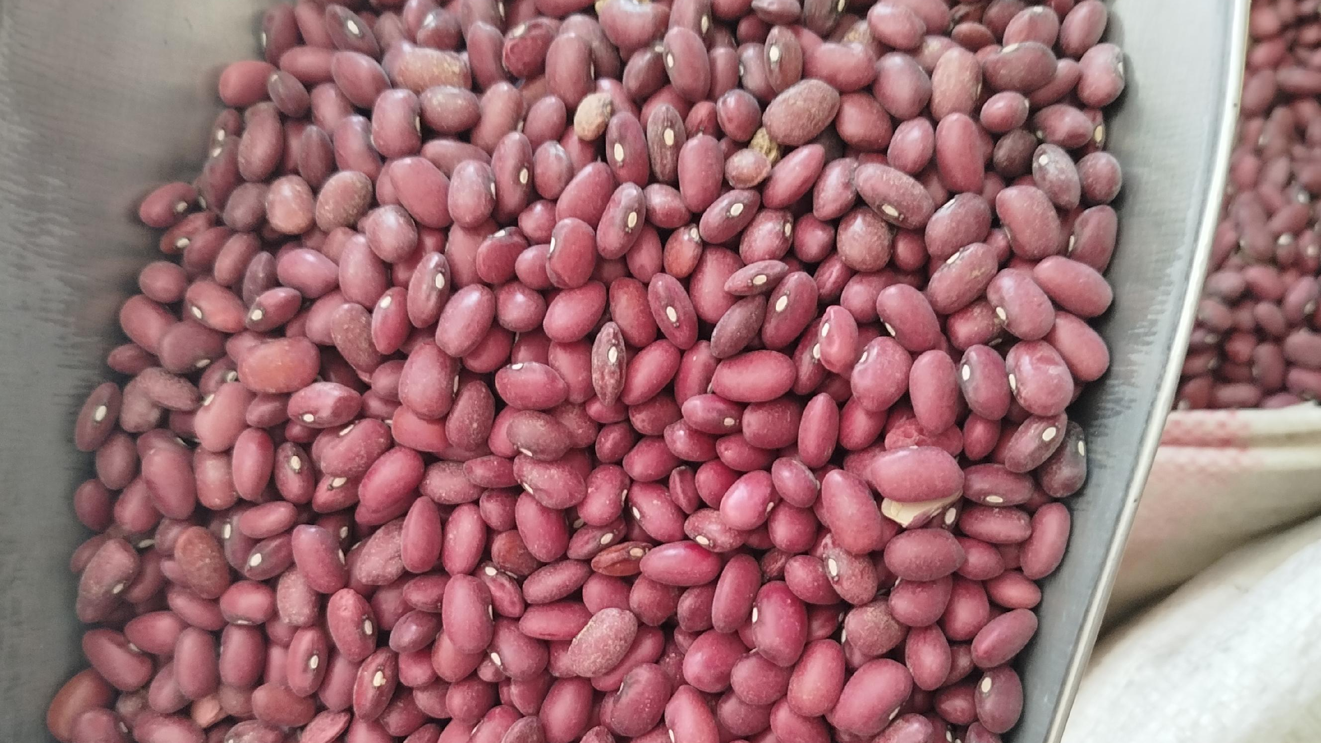 عمده فروشی حبوبات مصطفایی