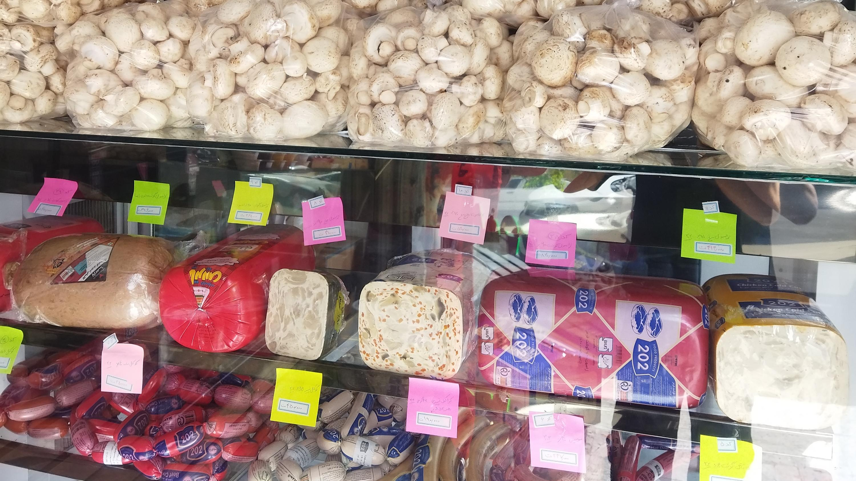 مرکزپخش قارچ ترک