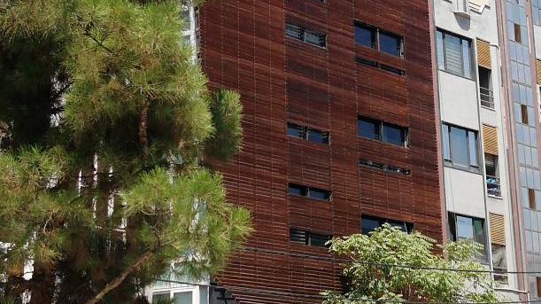 ساکورا (شکوفه گیلاس)