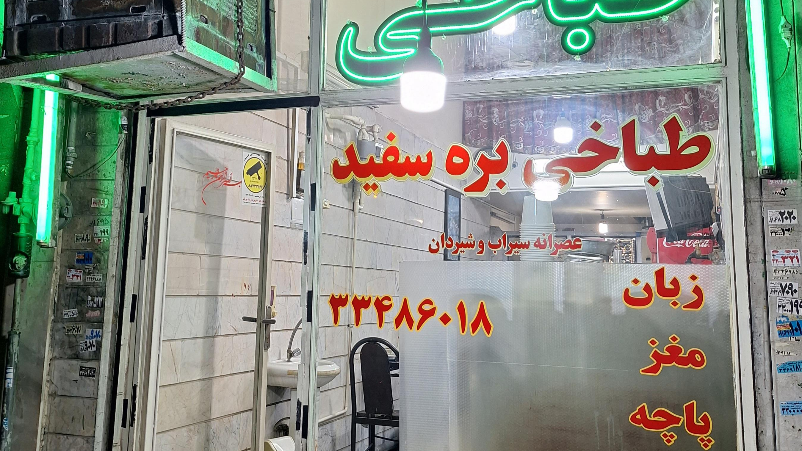 طباخی بره سفید
