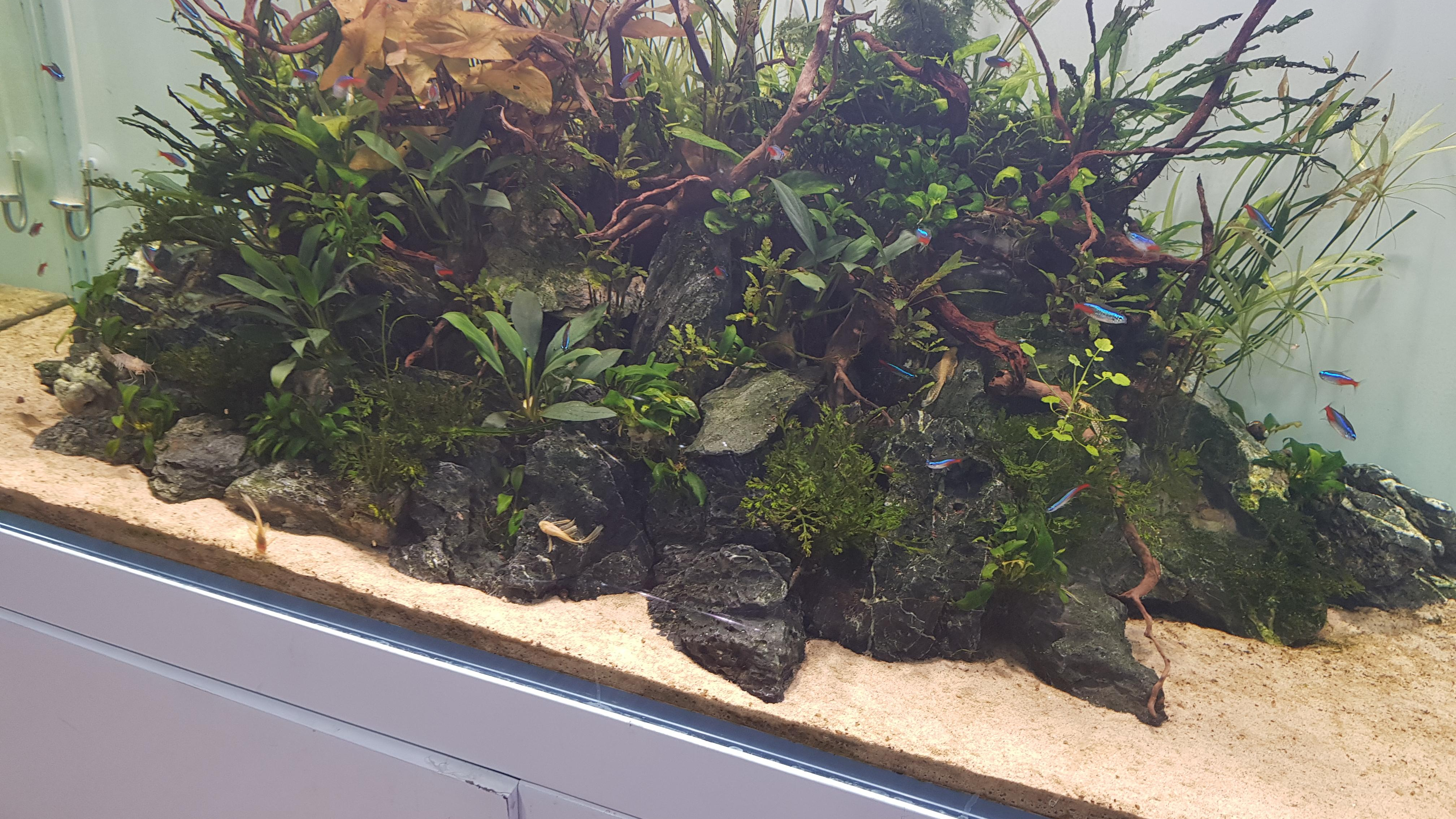 فروشگاه آکواریوم اسکات