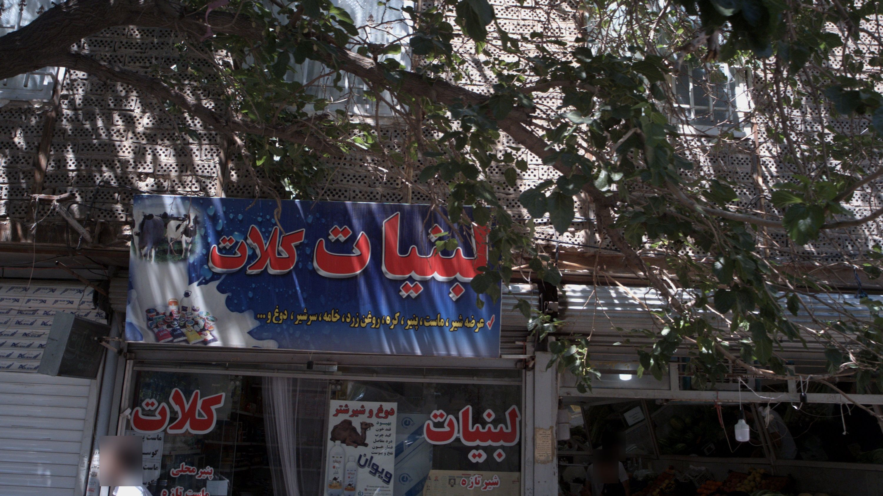لبنیات کلات