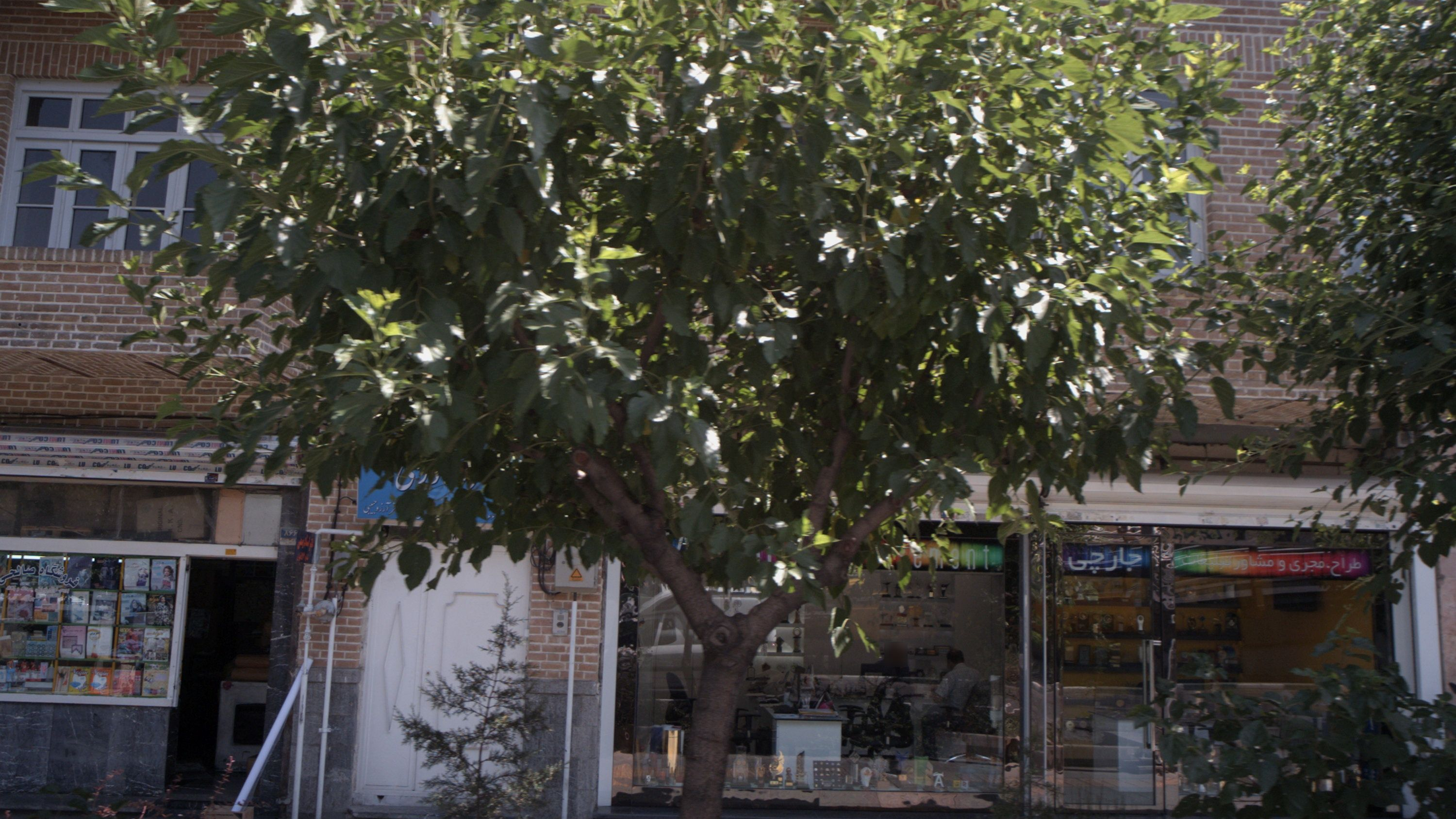 فروشگاه صالحی
