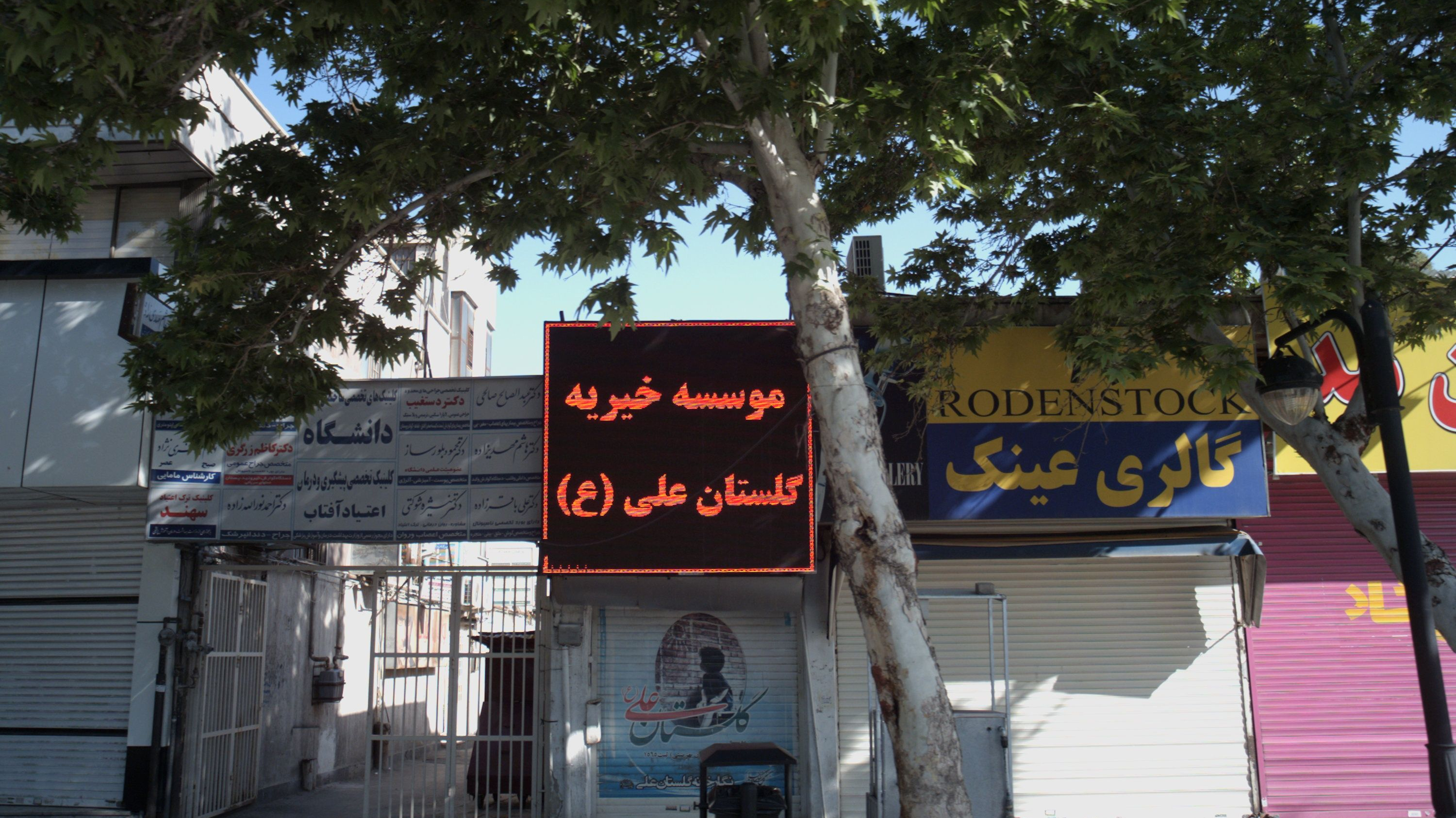 موسسه خیریه گلستان علی(ع)