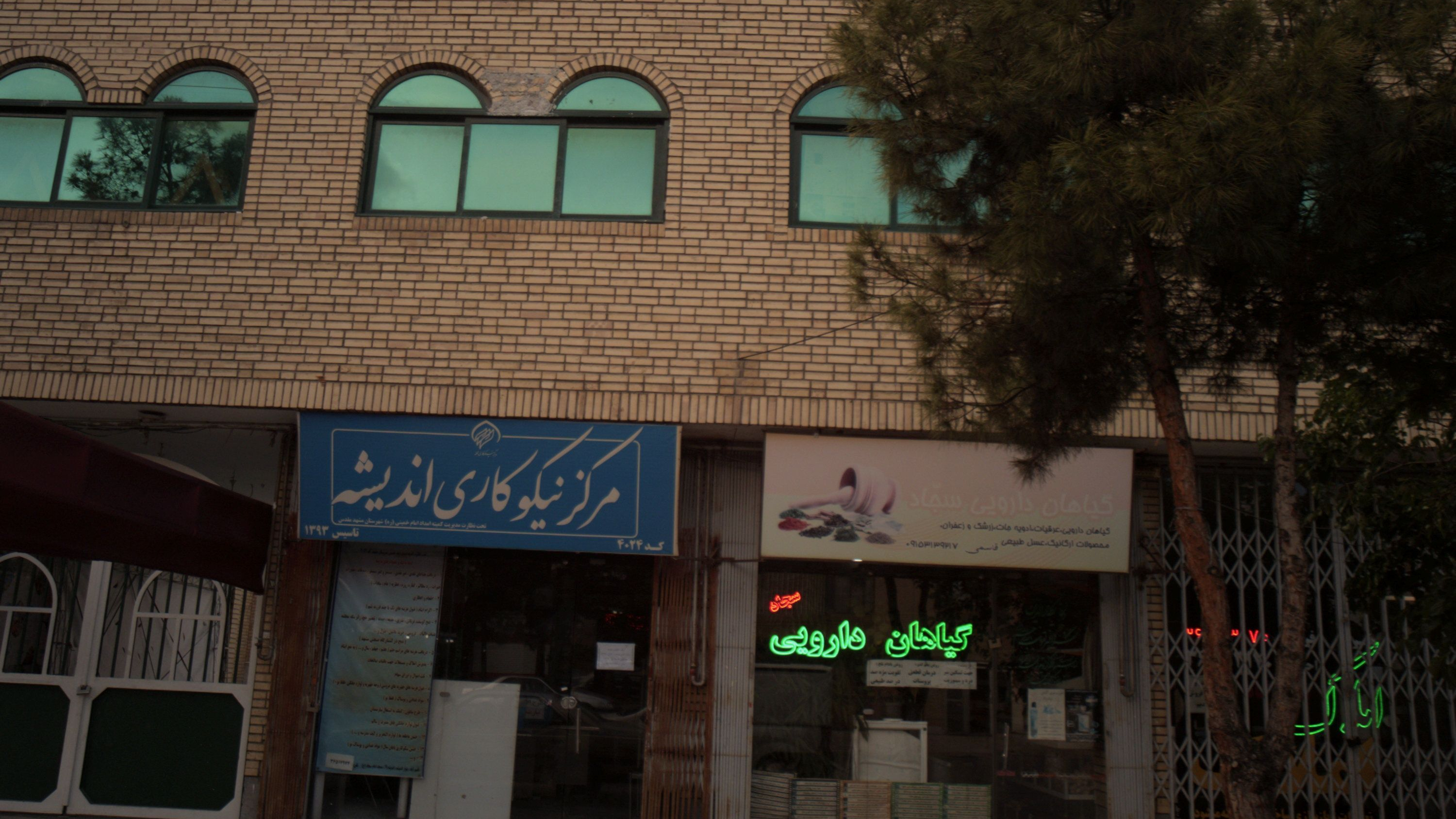 گیاهان دارویی سجاد