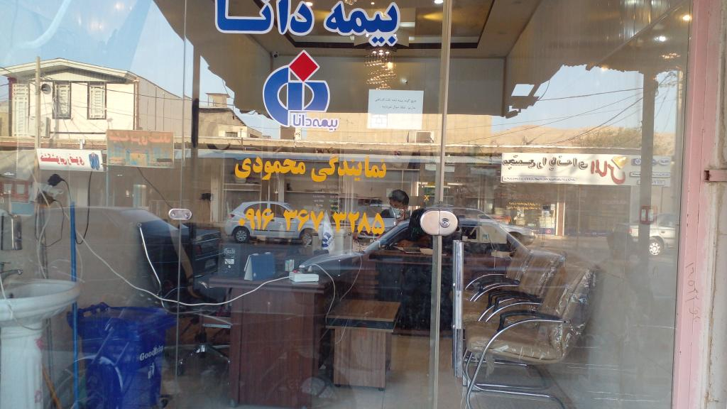 بیمه دانا محمودی