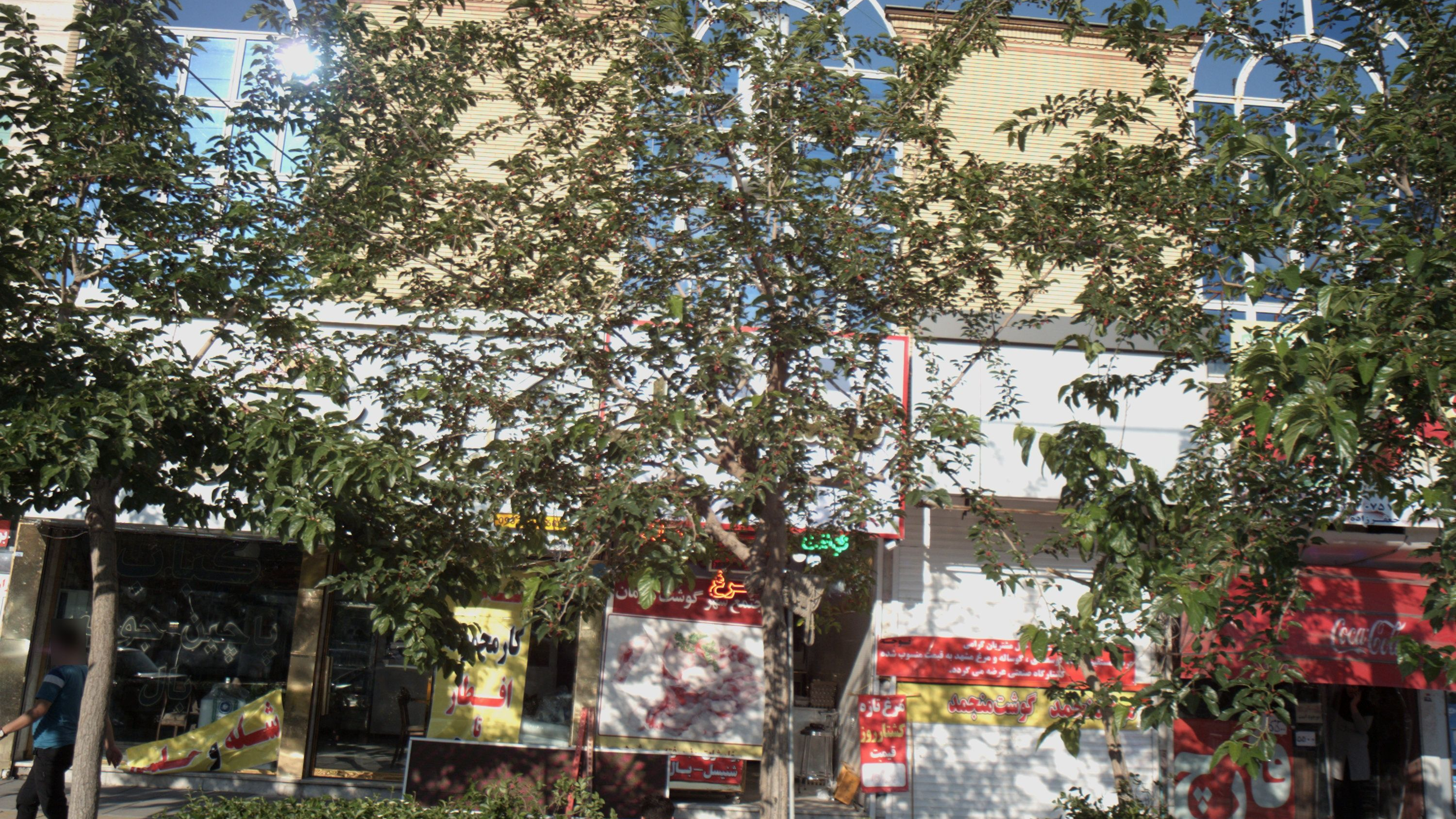 کباب سرای عمو حسین