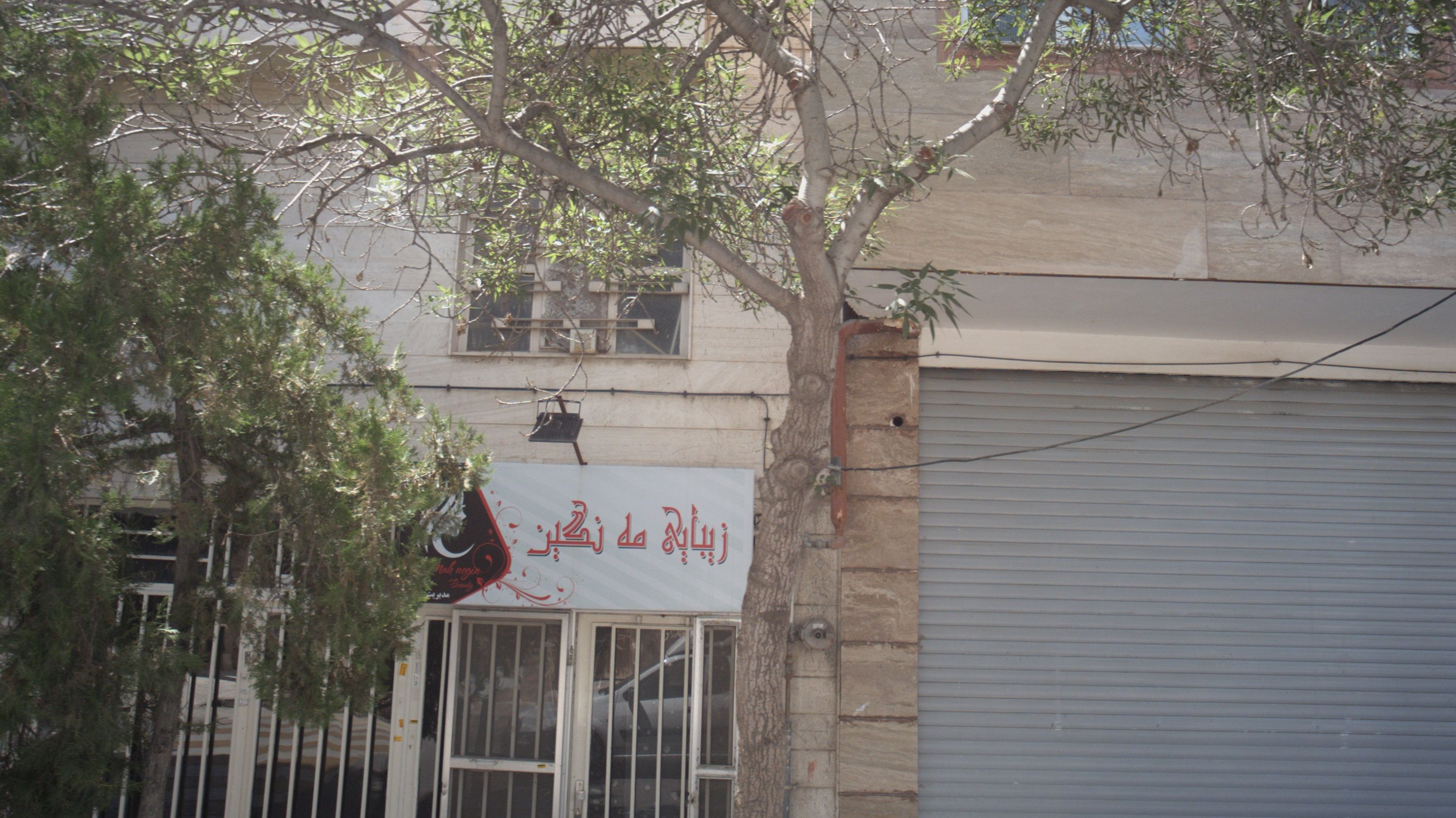 زیبایی ماه نگین