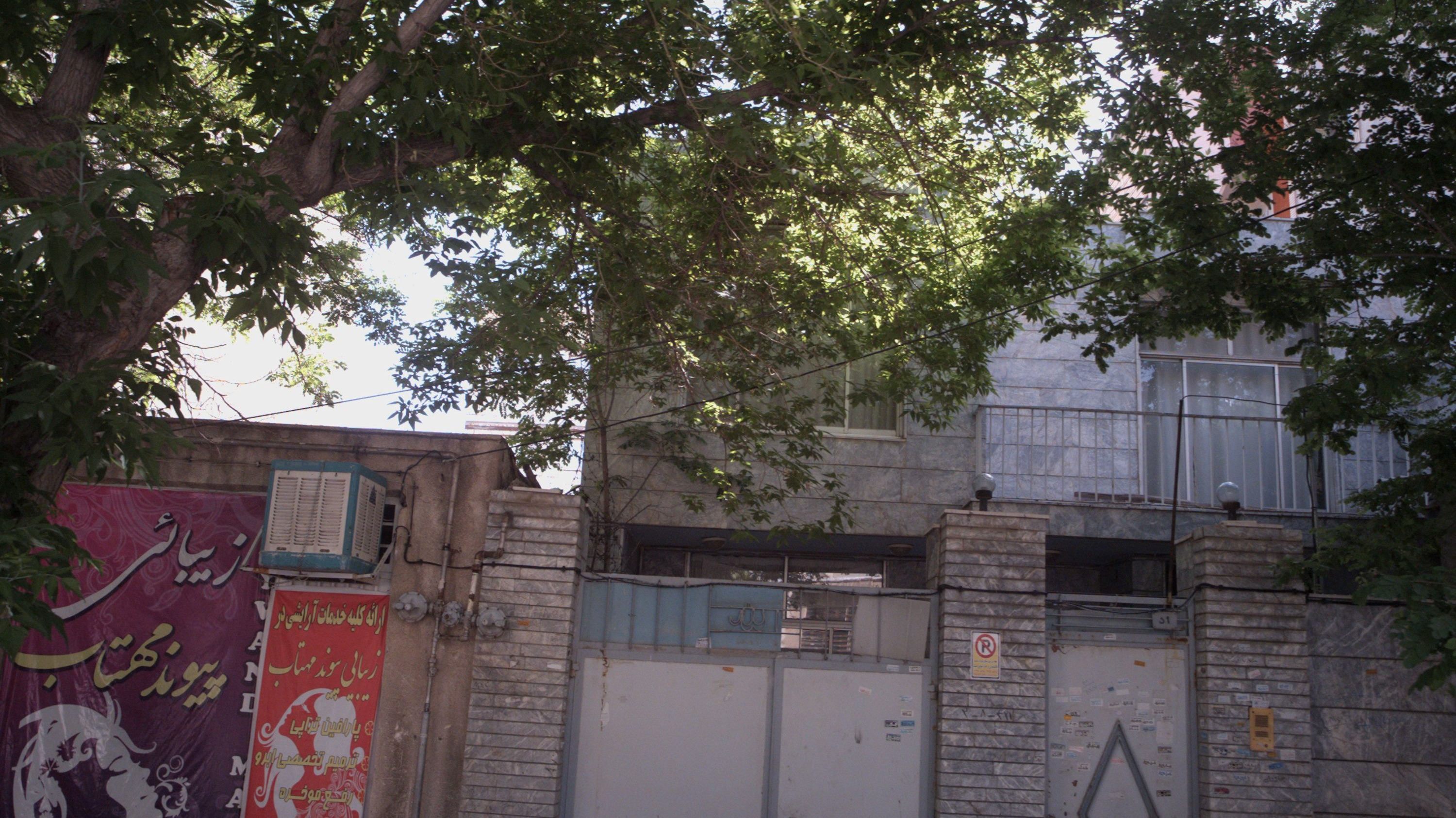 زیبائی پیوند مهتاب
