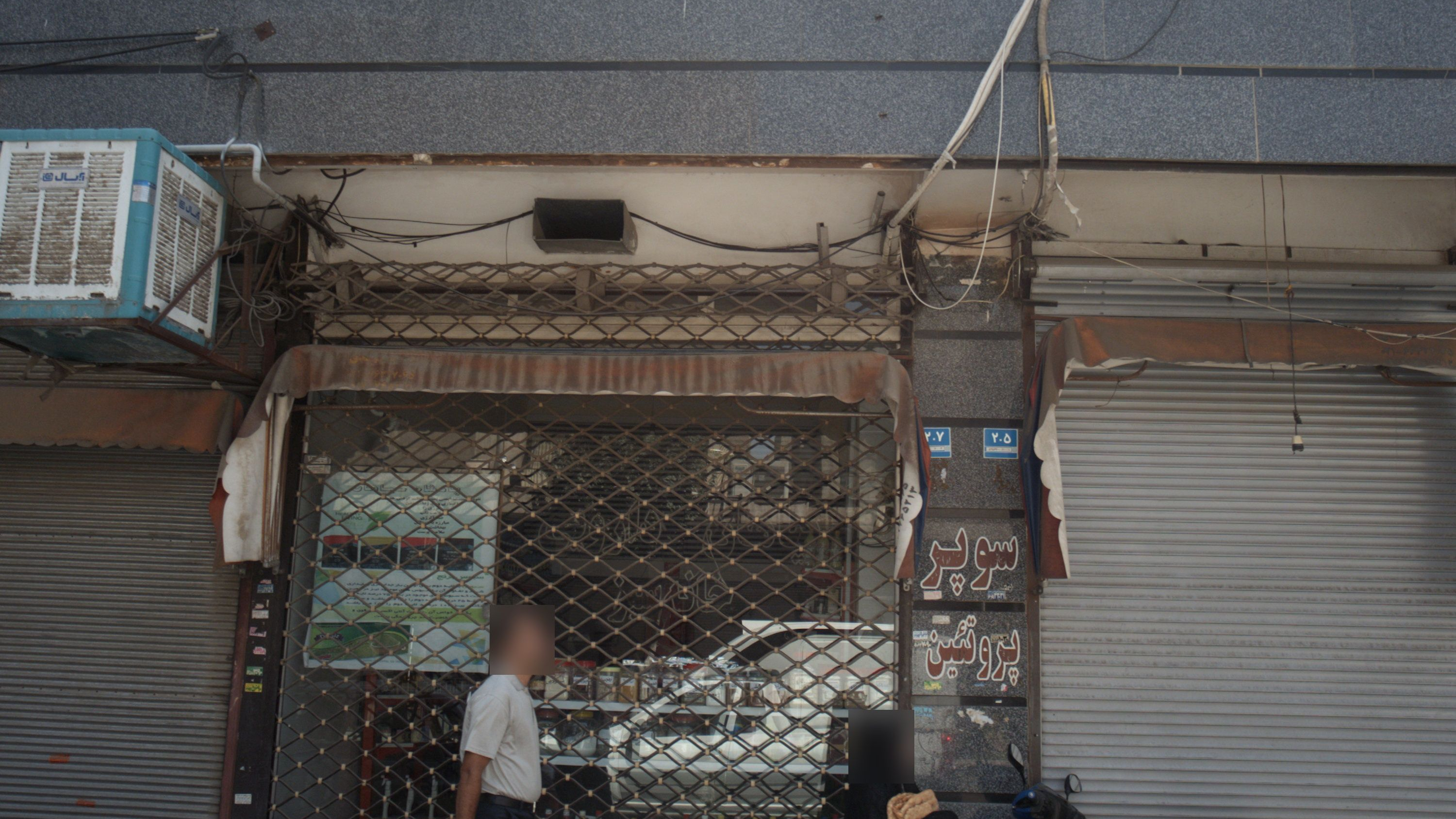 گیاهان دارویی خانه سبز