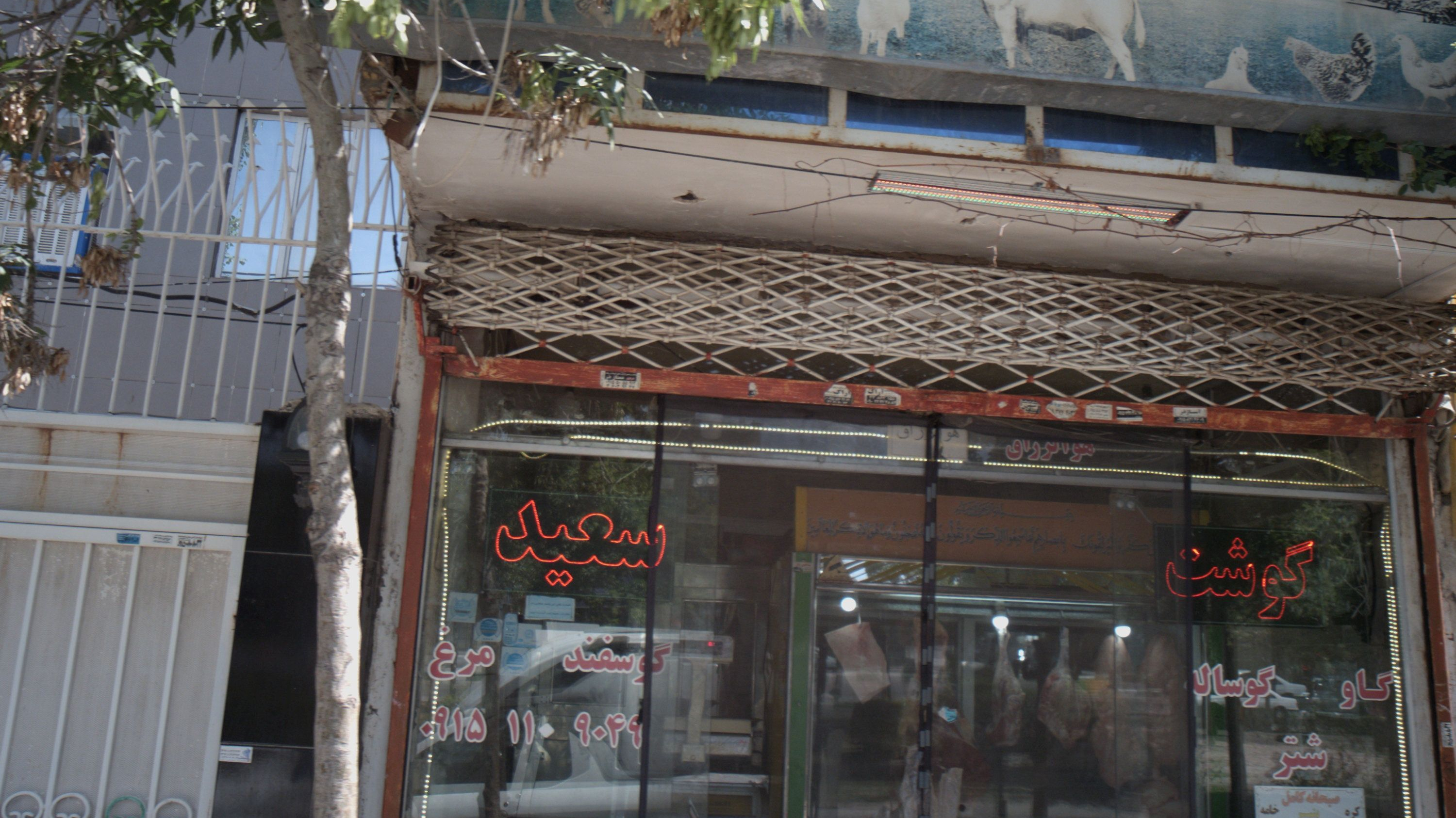 سوپر گوشت سعید