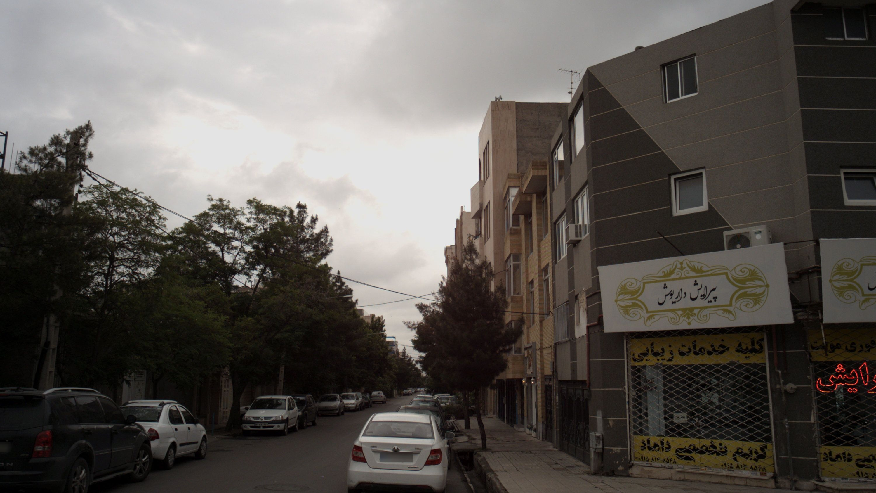 پیرایش داریوش