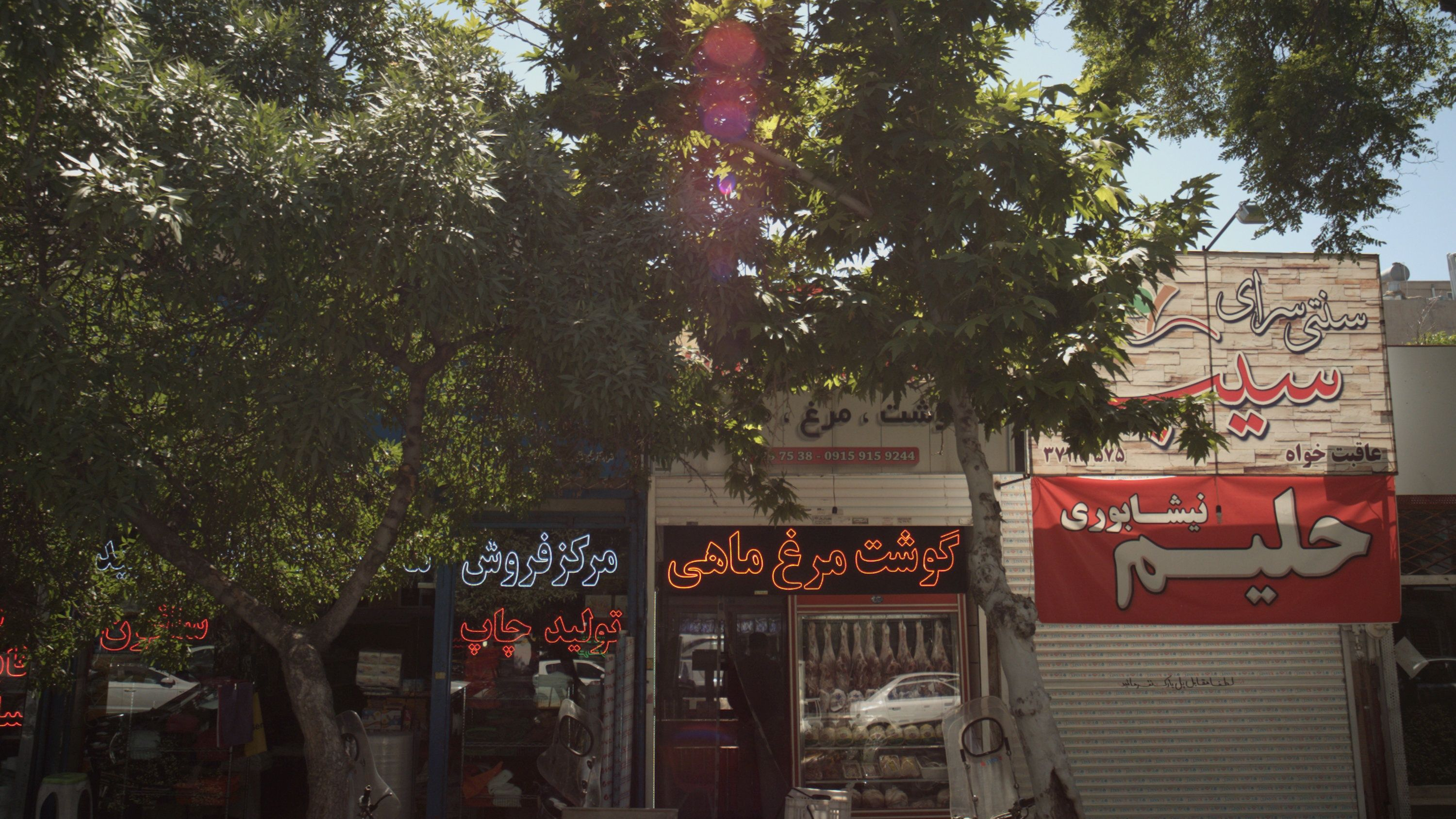 پروتئینی
