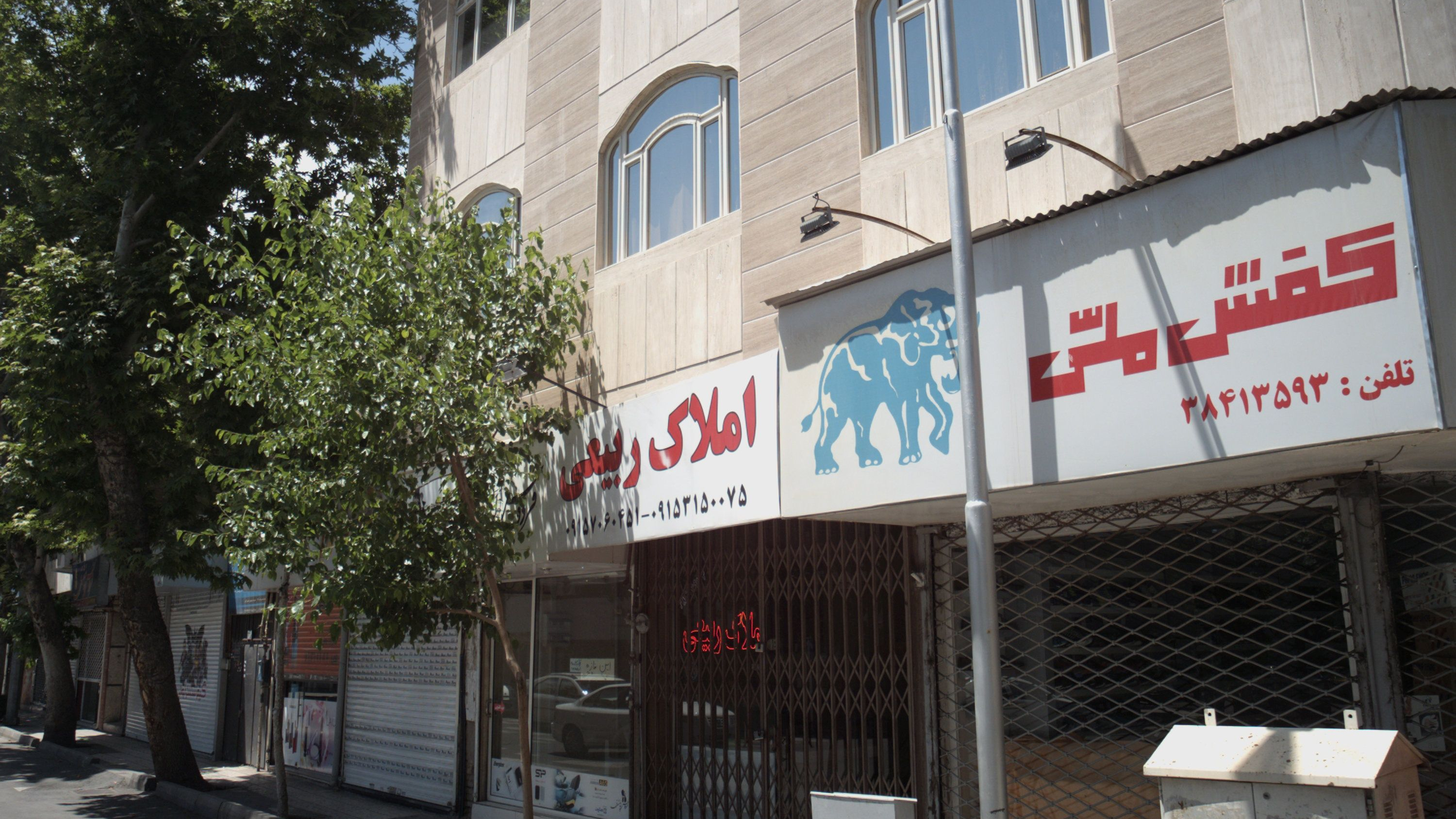مشاور املاک ربیعی