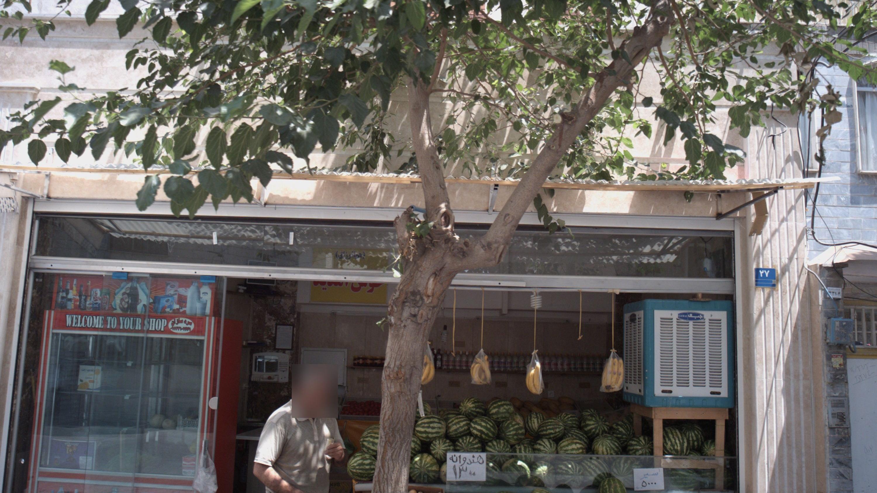 میوه فروشی