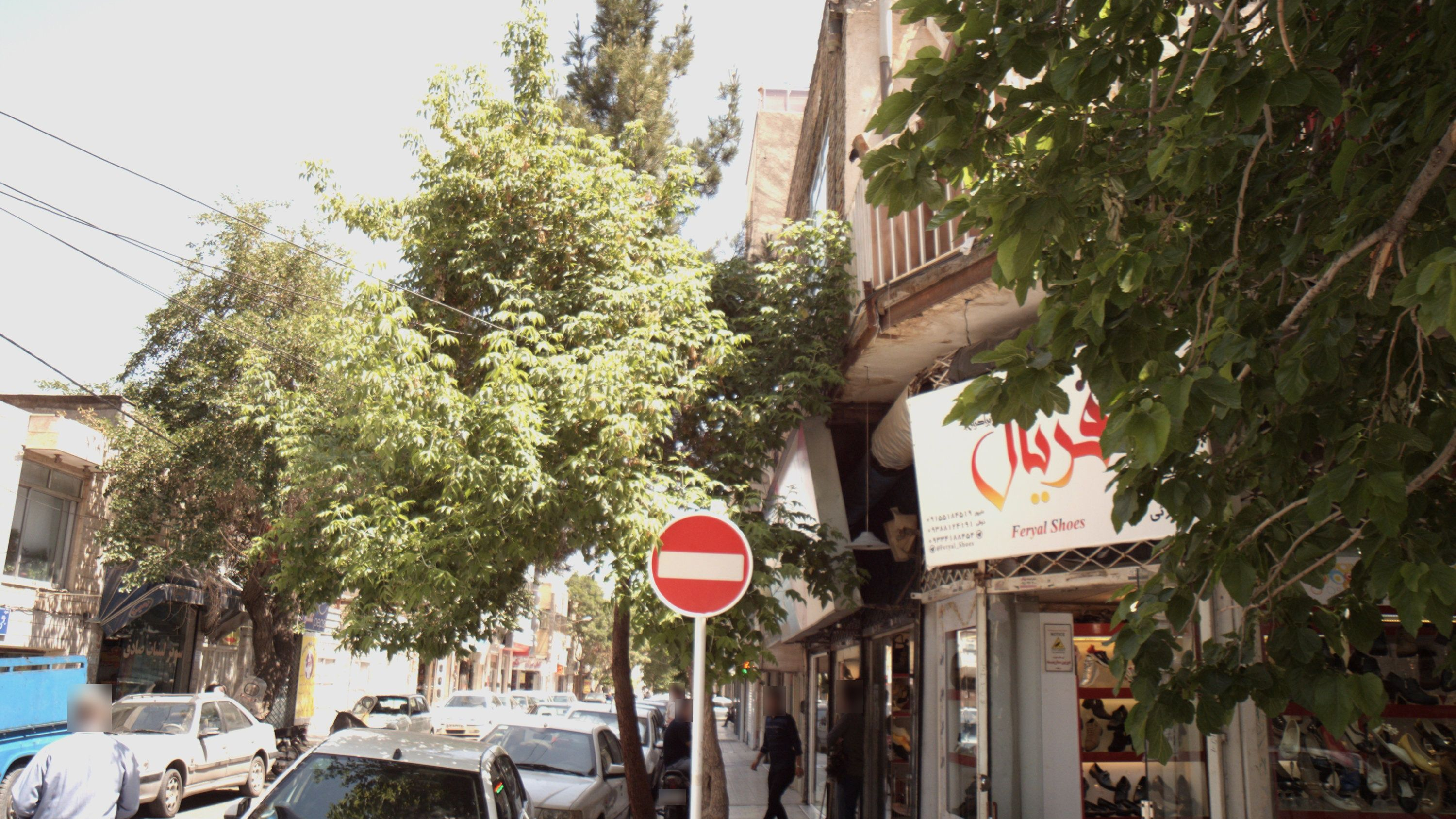 کفش فریال