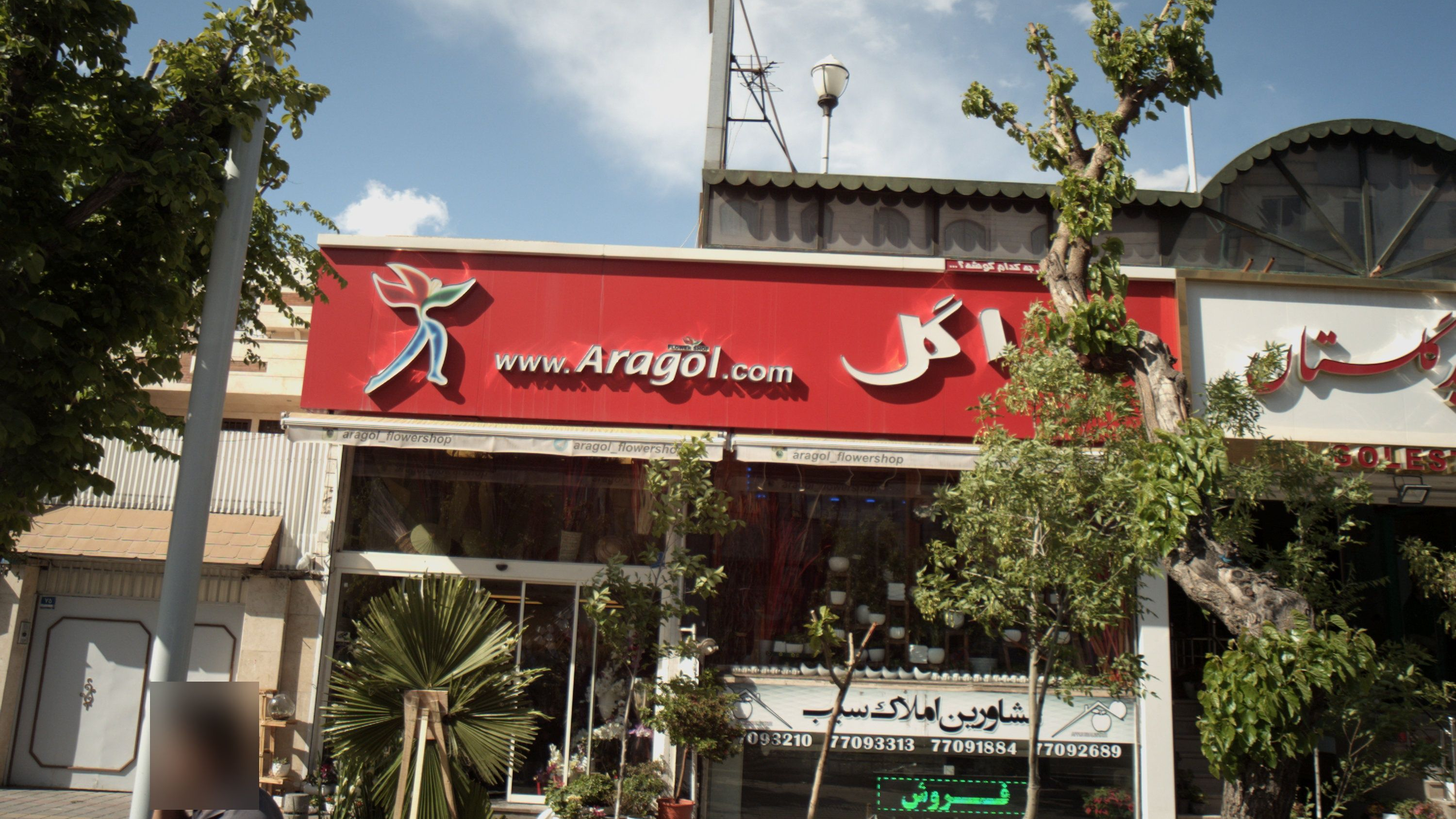 مشاورین املاک سیب