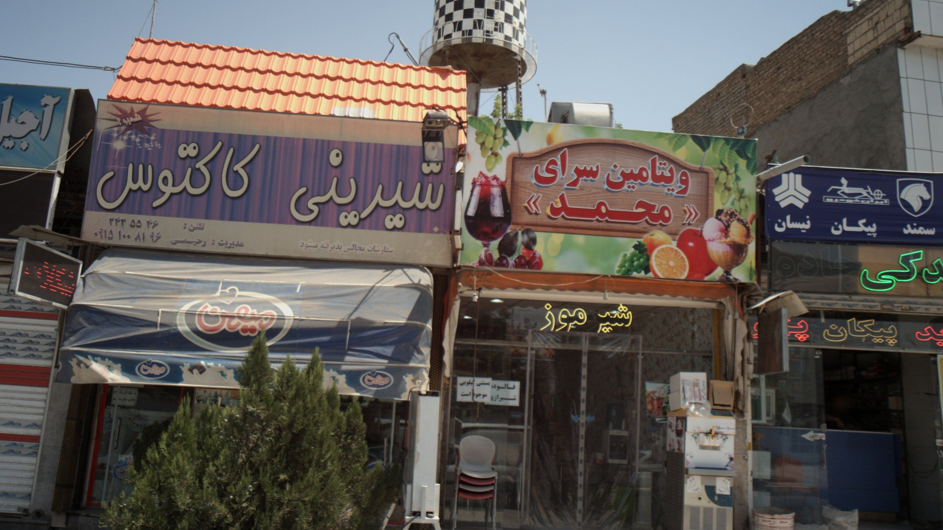 شیرینی کاکتوس