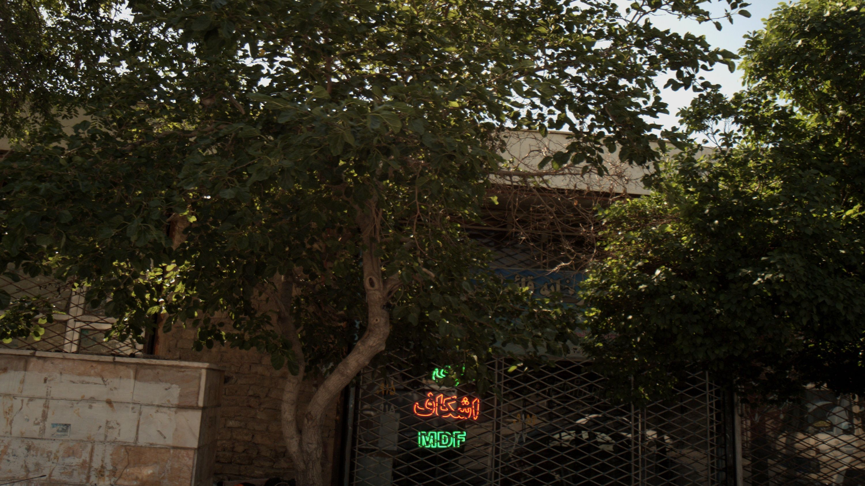 آشپزخانه قائم عج