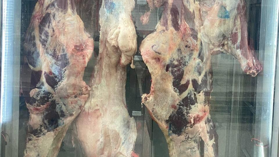 سوپر گوشت و مرغ محمدی