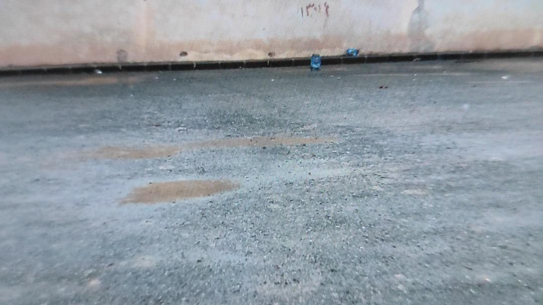 مرغداری درنا