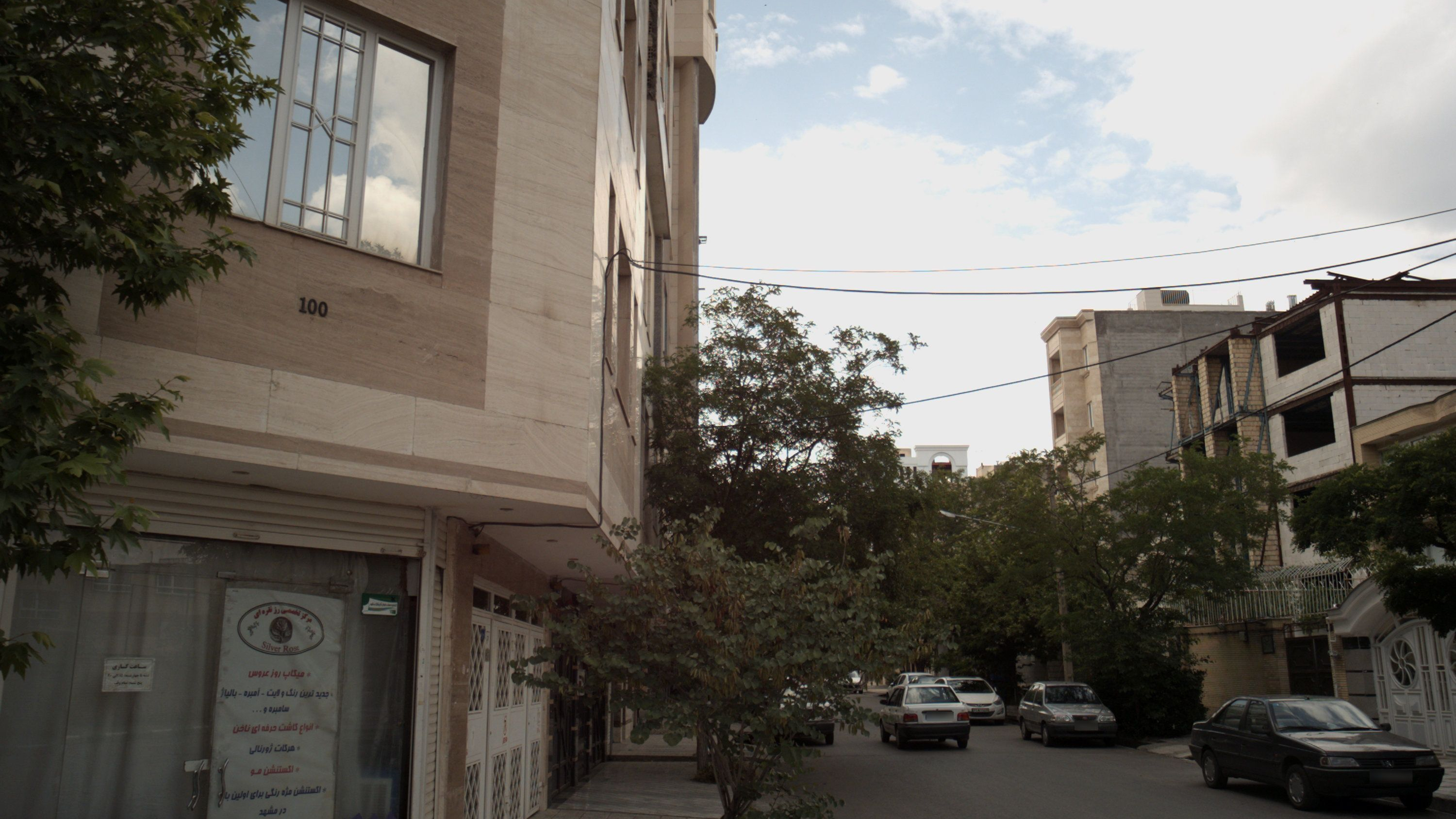 مرکز تخصصی رز نقره ای