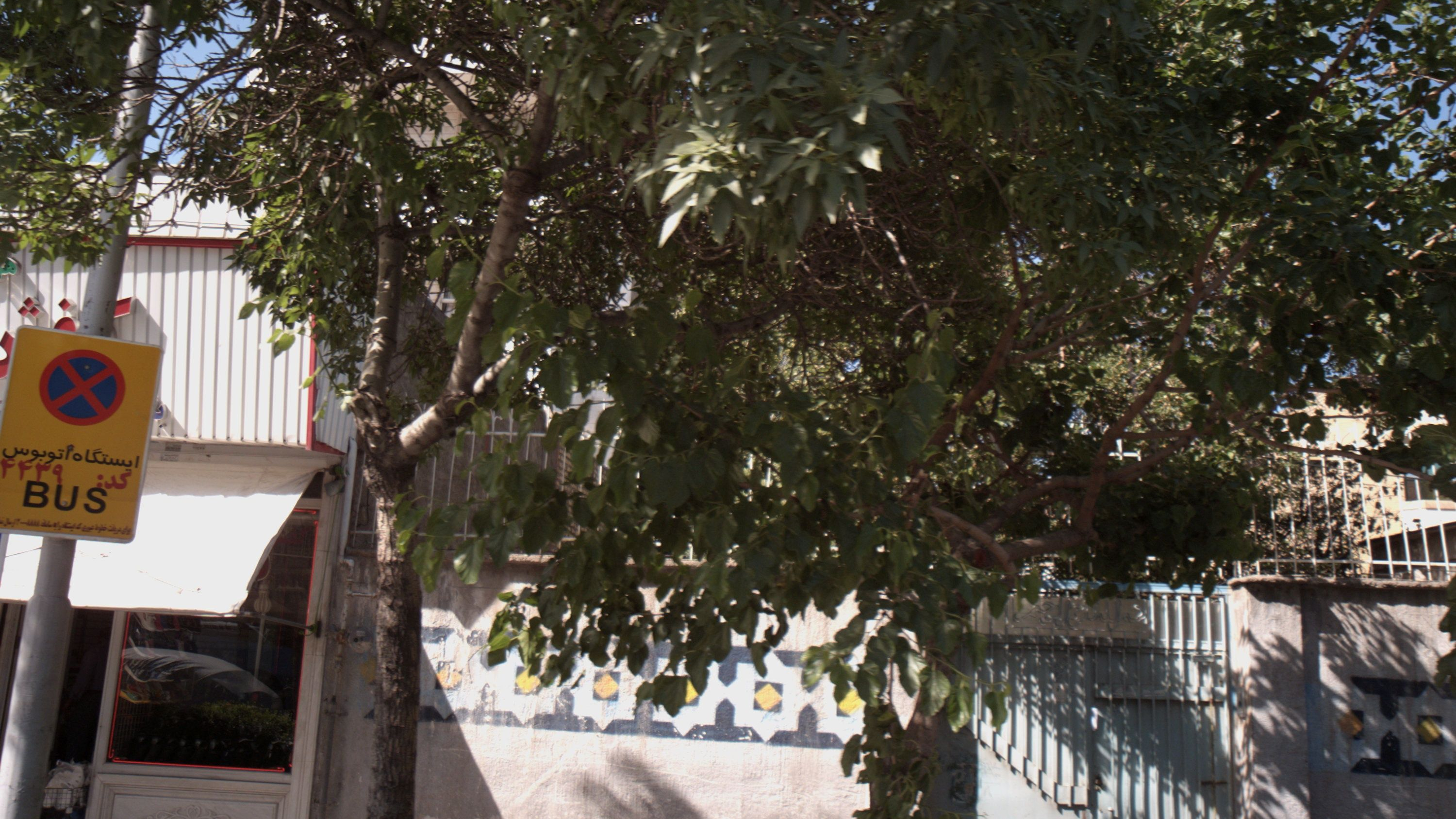 فروشگاه کفش